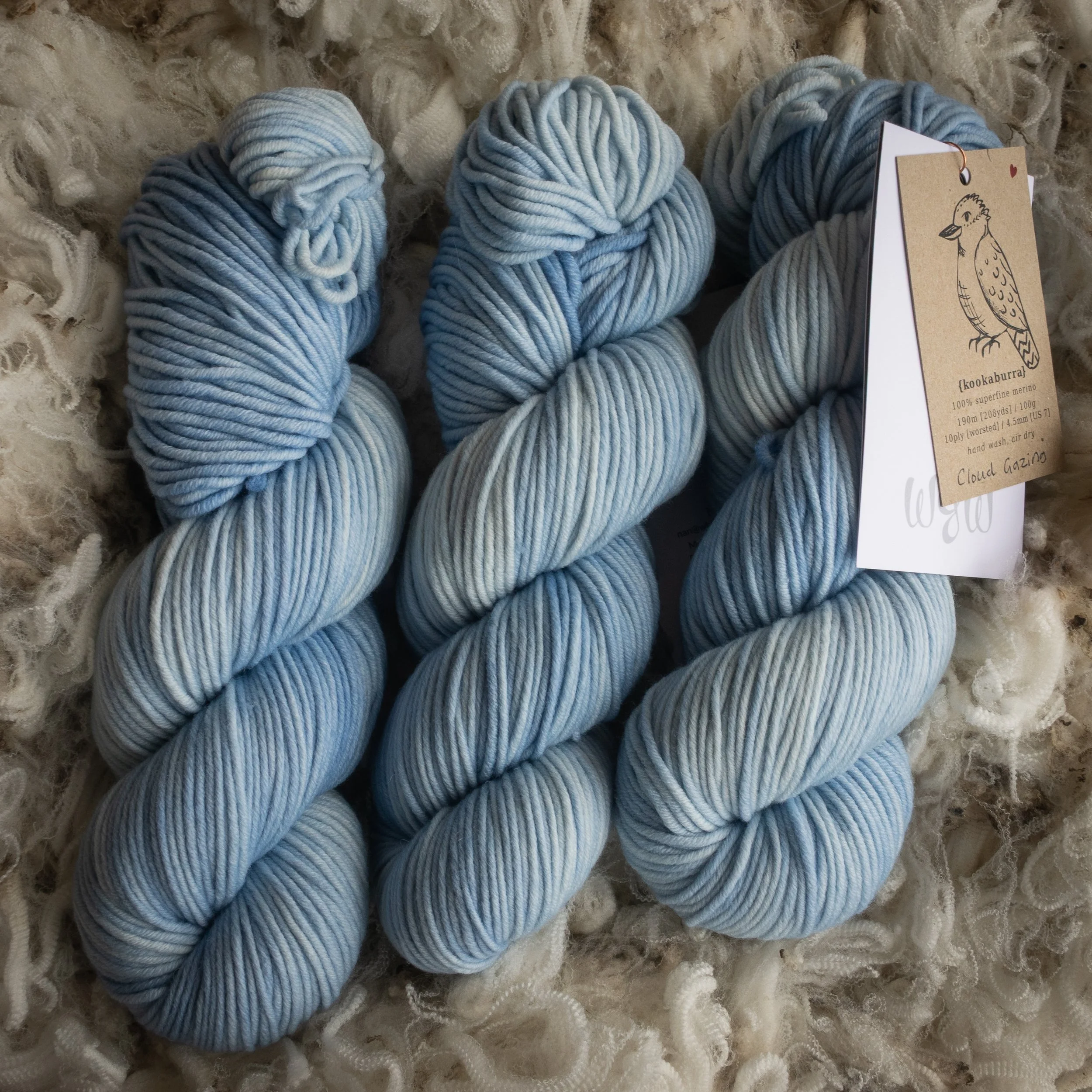 M-10-AUG-CLG Cloud Gazing  (DSC04547) 2026 03.jpg