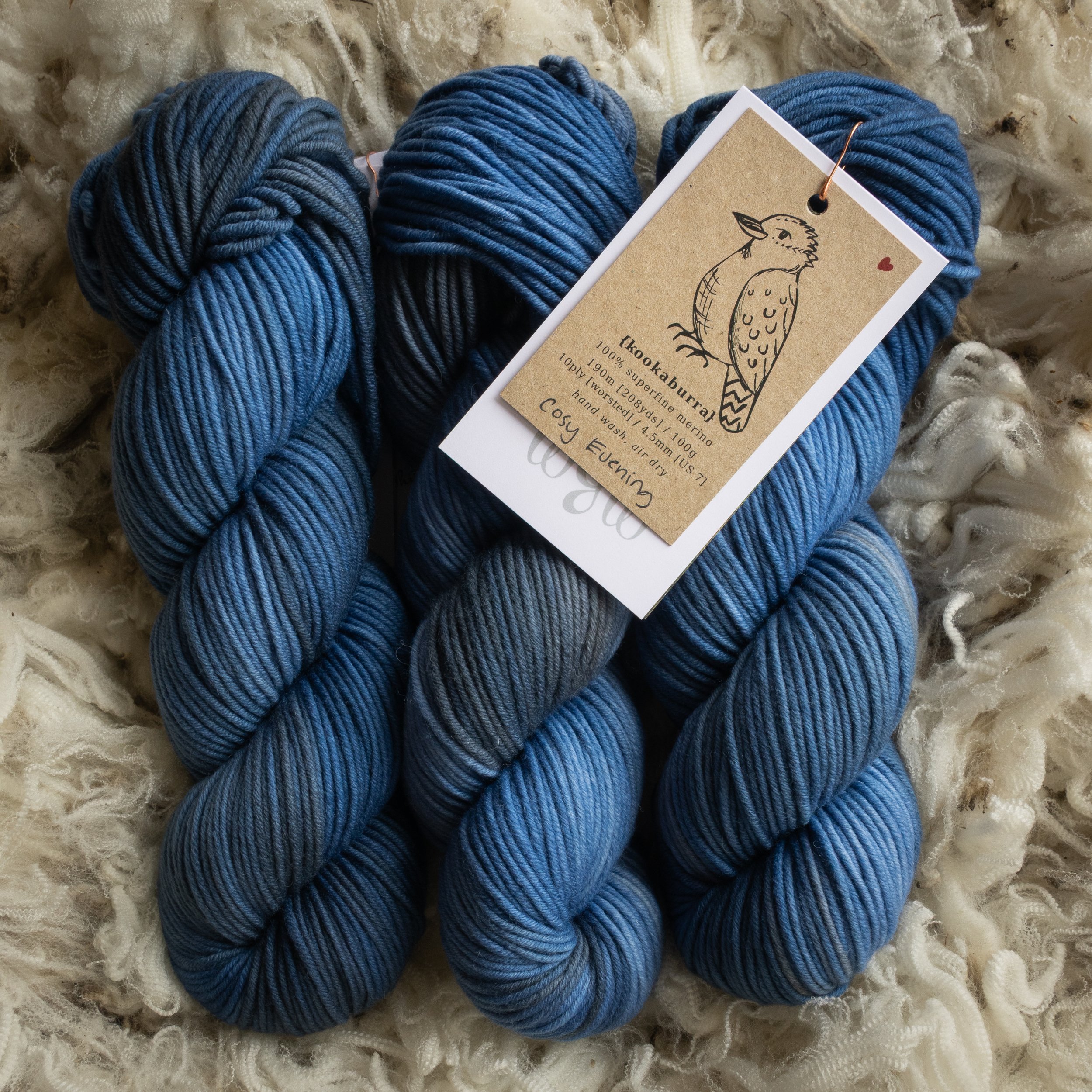 M-10-AUG-COS Cosy Evening (DSC04515) 2026 03.jpg