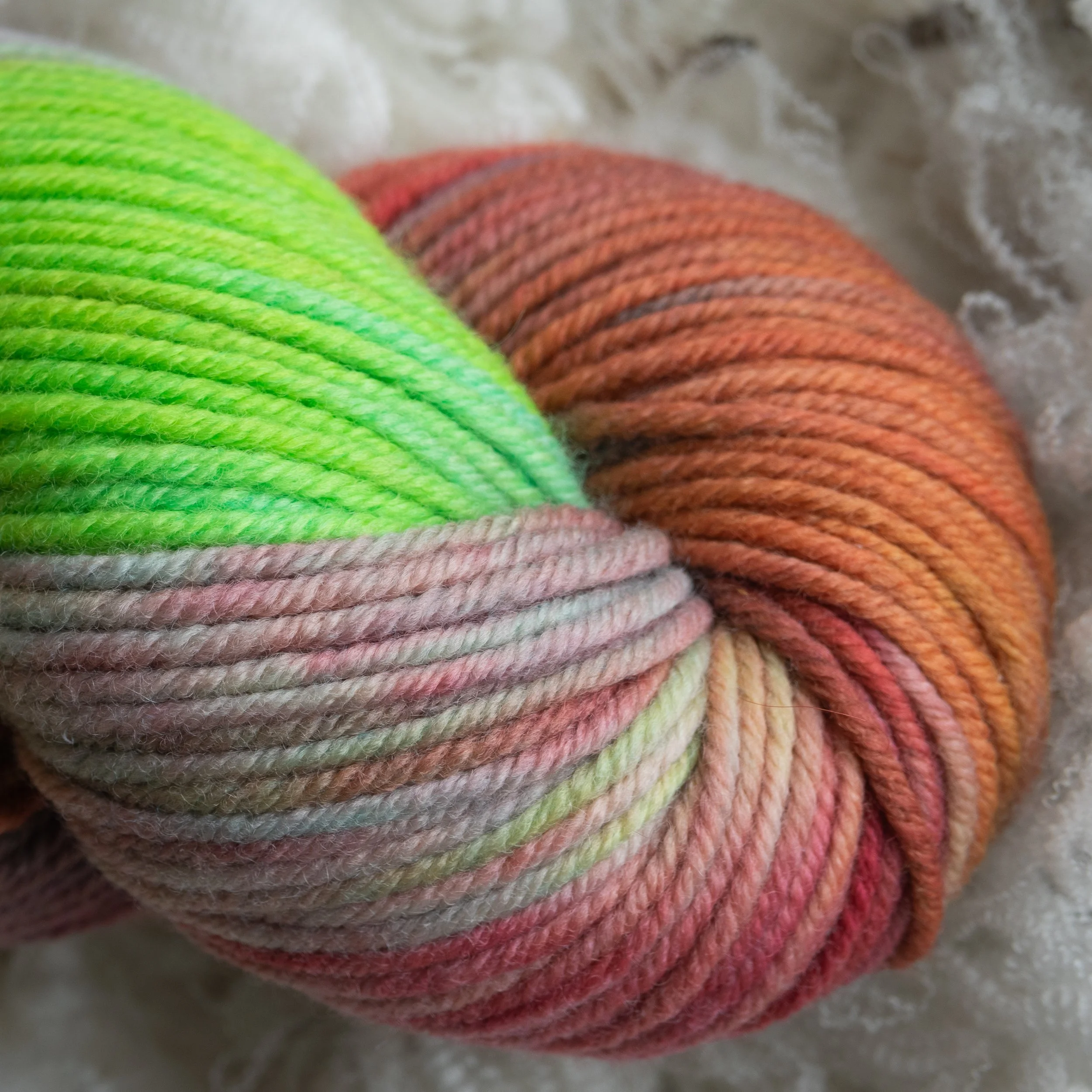 M-08-AUG-WLD (DSC04385) 2026 03.jpg