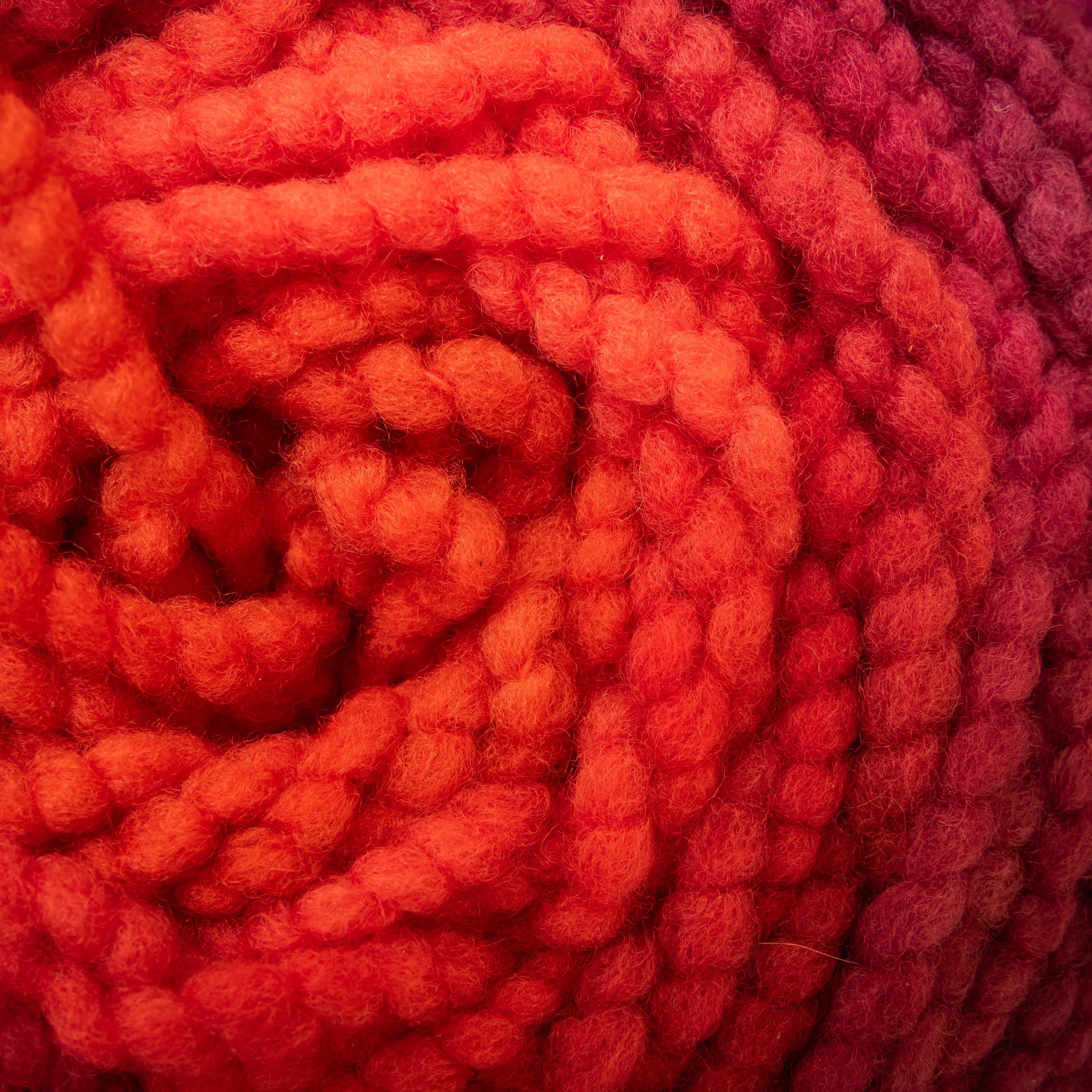 M-12-CCY-SUN Red Sundew (DSC03791) 2026 03.jpg