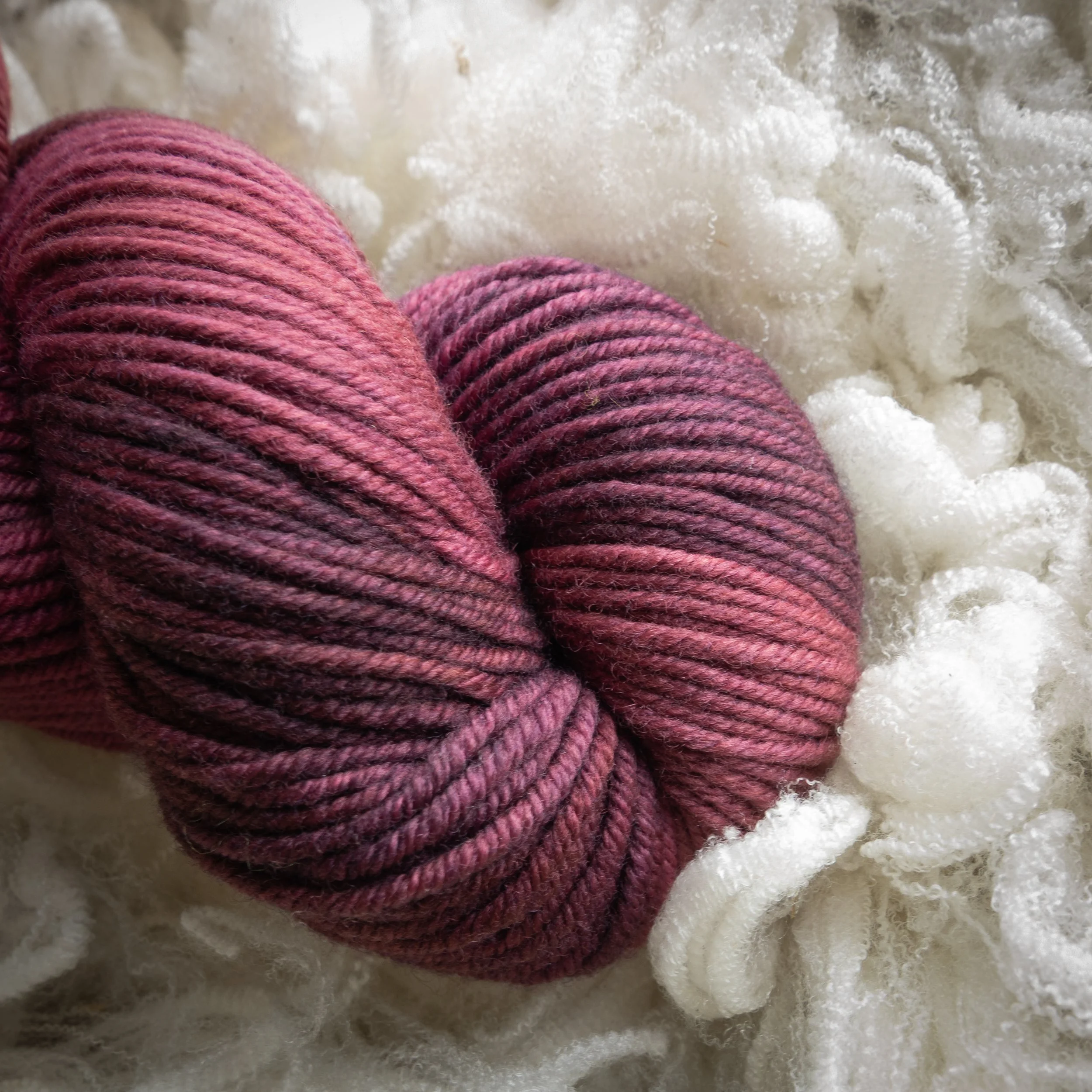 M-08-AUG-QUI Quite and Stillness (DSC04375) 2026 03.jpg