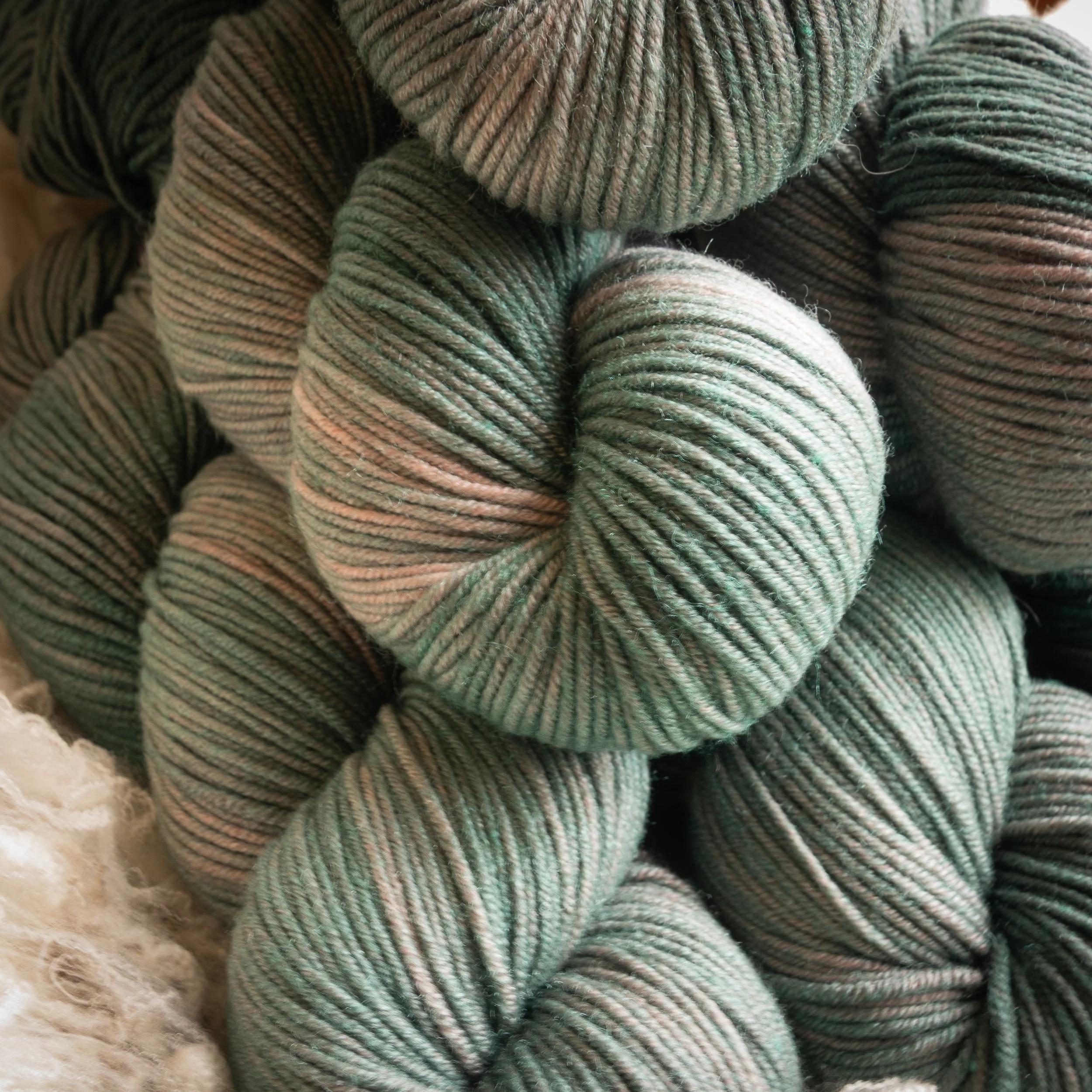 SM-05-AB-OTE Of The Earth (DSC04567)2026 03.jpg