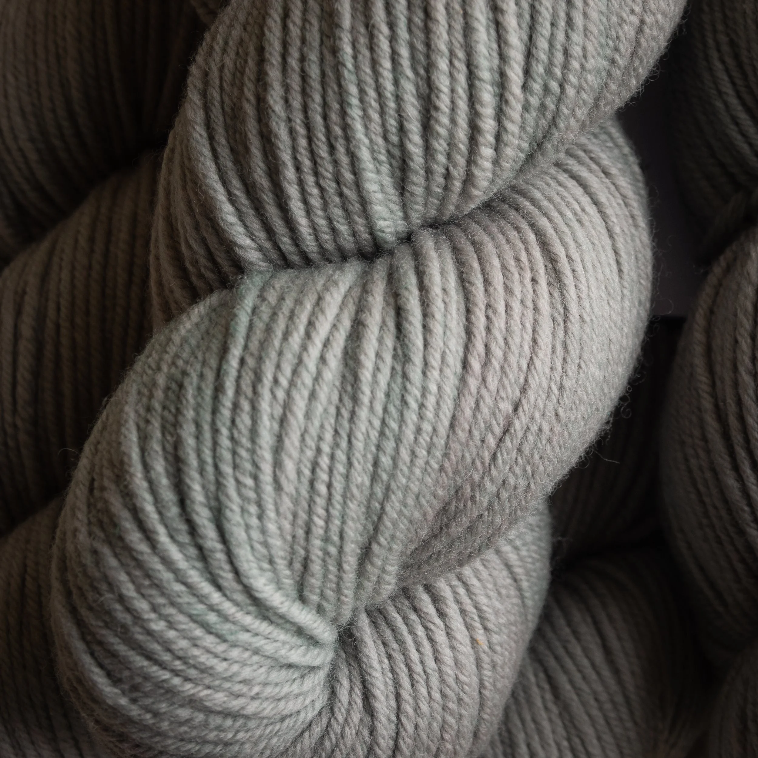 M-08-AUG-LIT Little Tree (DSC04558) 2026 03.jpg