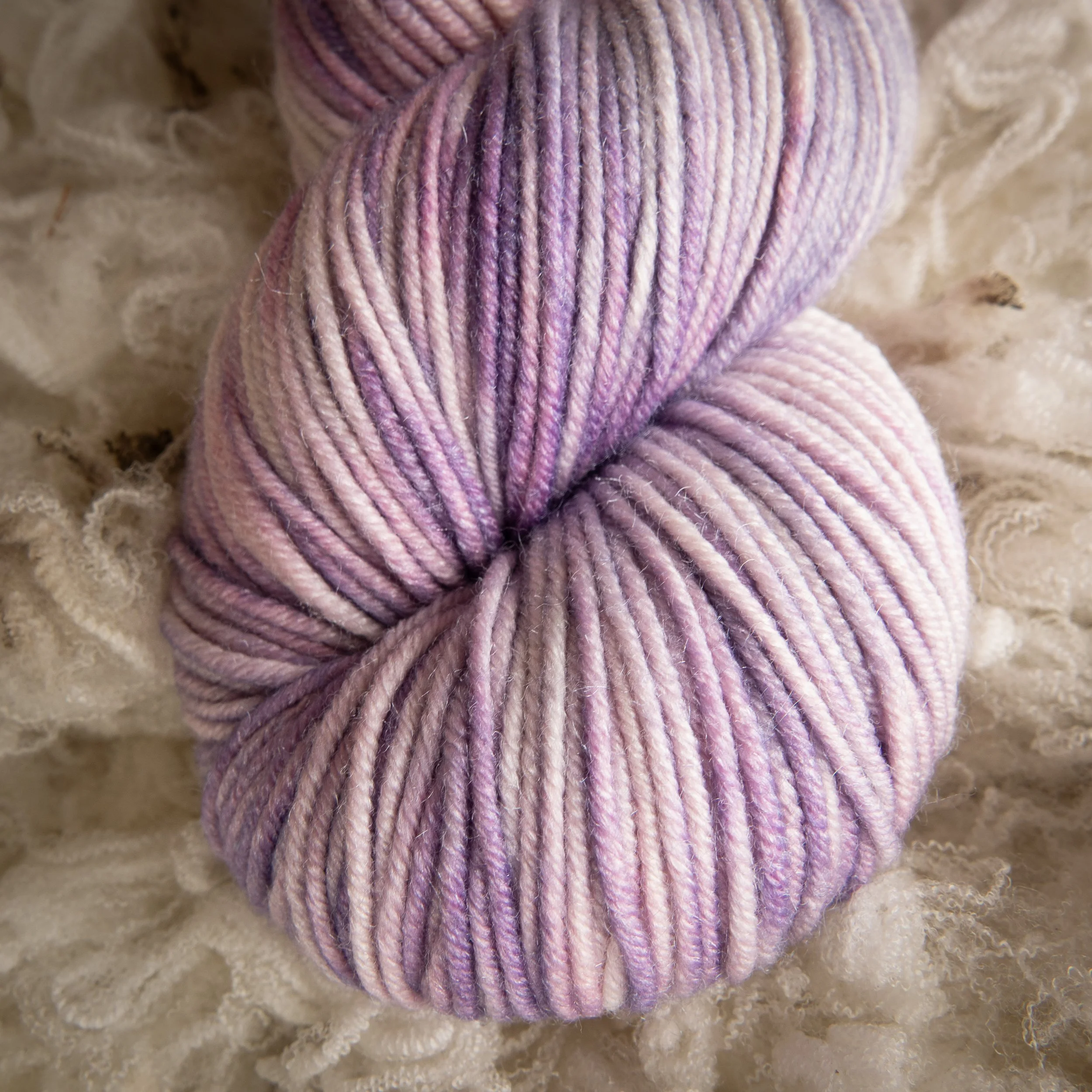 SM-05-AB-VIN Vintage Bird (DSC04357)2026 03.jpg