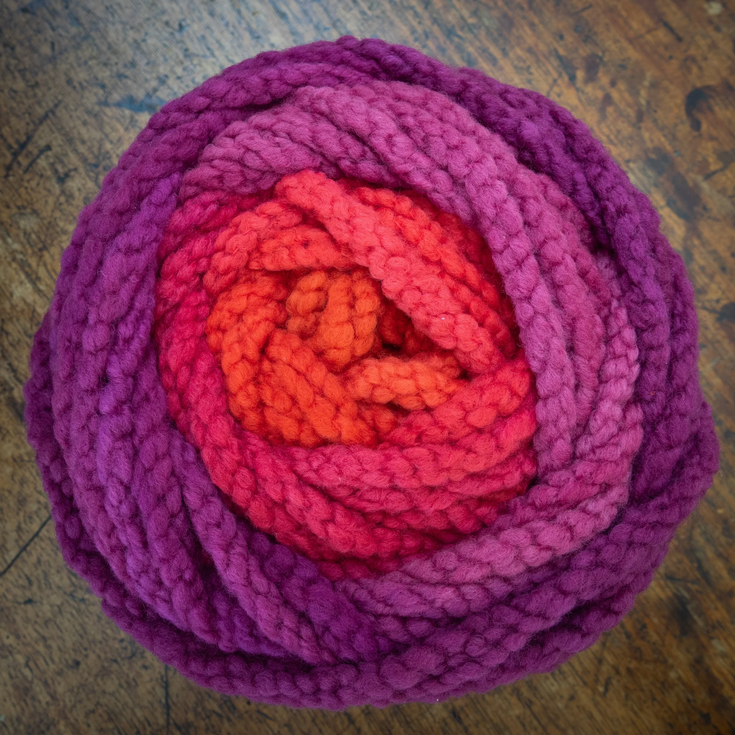 M-48-CCY-SUN Red Sundew (DSC03769) 2026 02.jpg