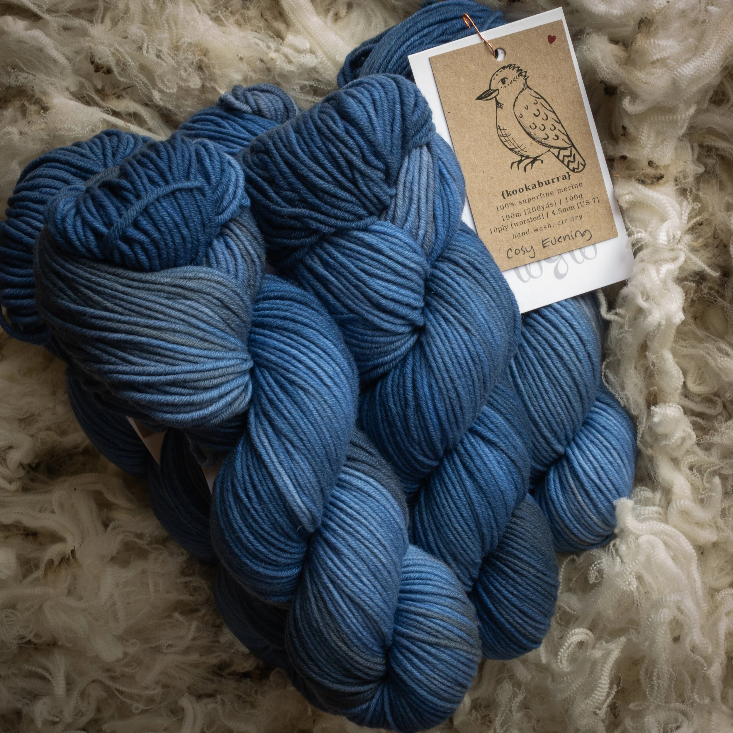 M-10-AUG-COS Cosy Evening (DSC04501) 2026 03.jpg