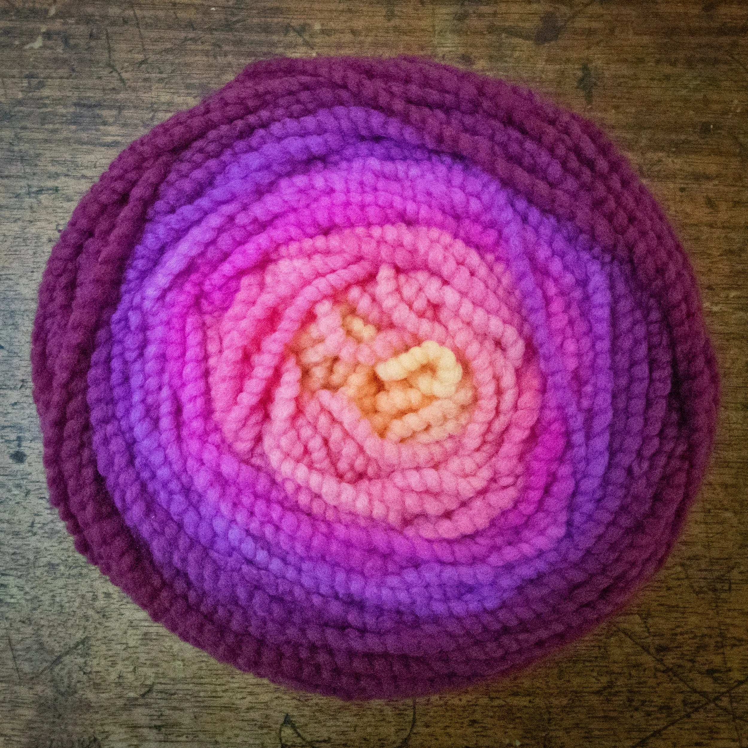 M-12-CCY-FLG Flax Lily Gradient (DSC05156) 2026 04.jpg