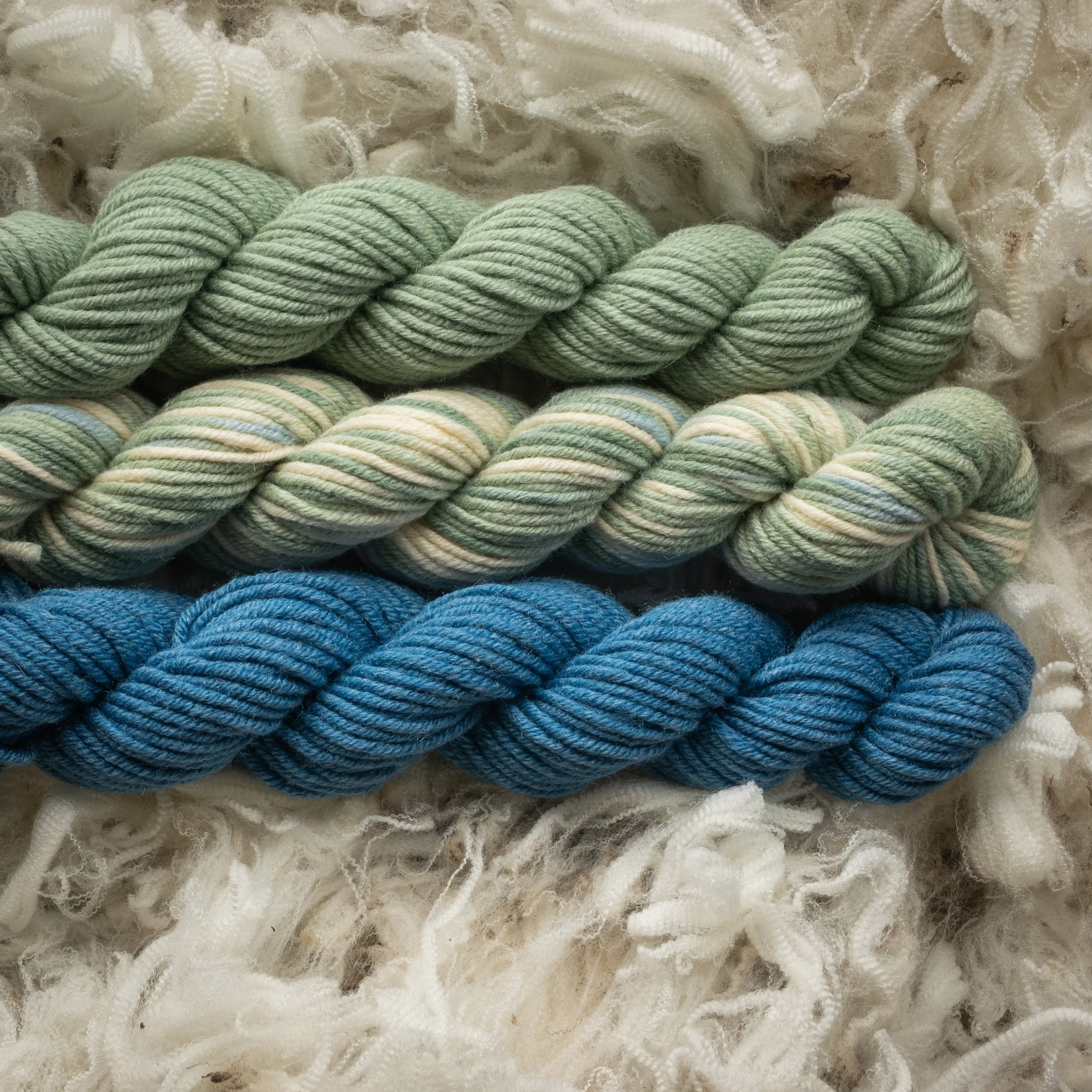 SM-04-MIN (DSC04438) 2026 03.jpg