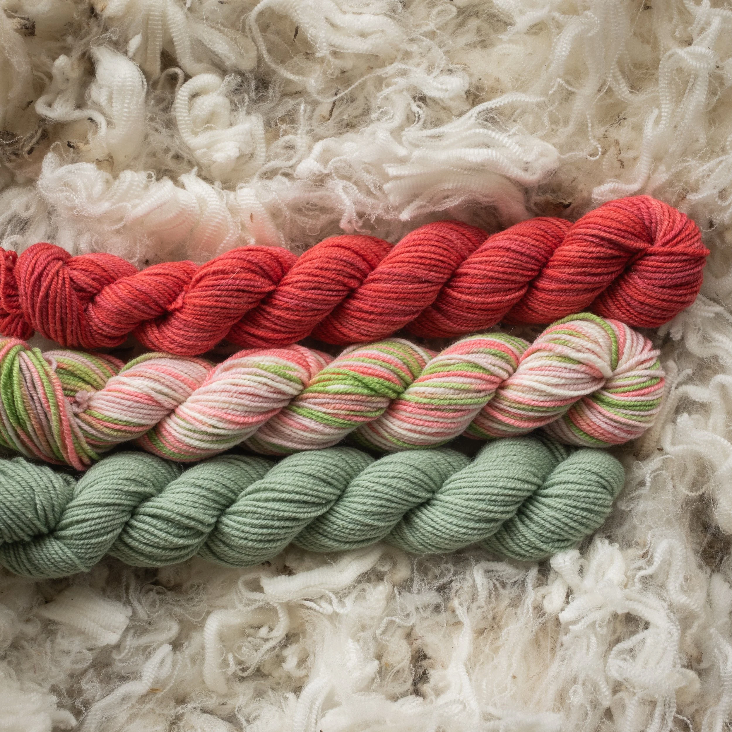 SM-05-MIN(DSC04446) 2026 03.jpg