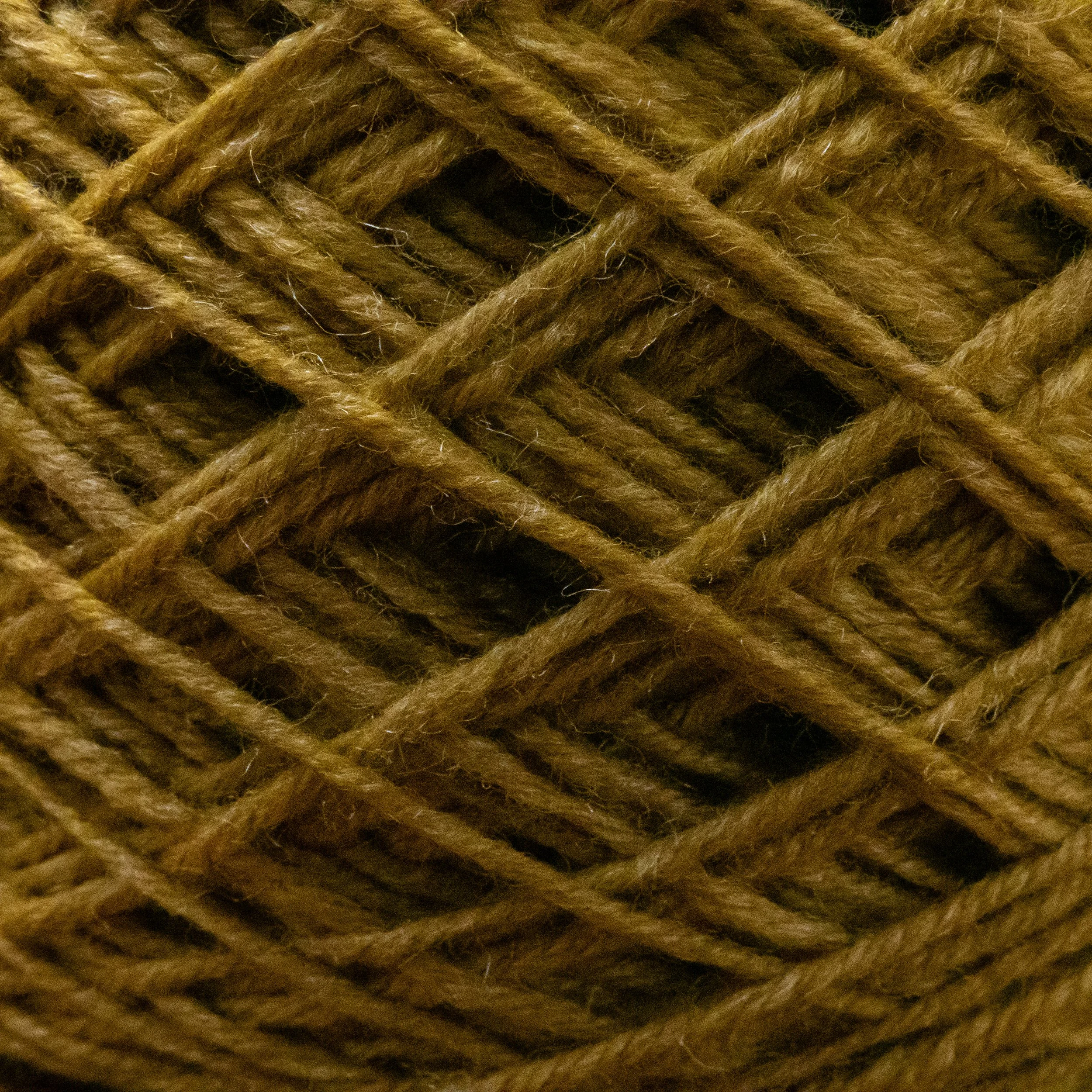 SM-04-CAK-SDG Sedge (DSC05546) 2026 06.jpg