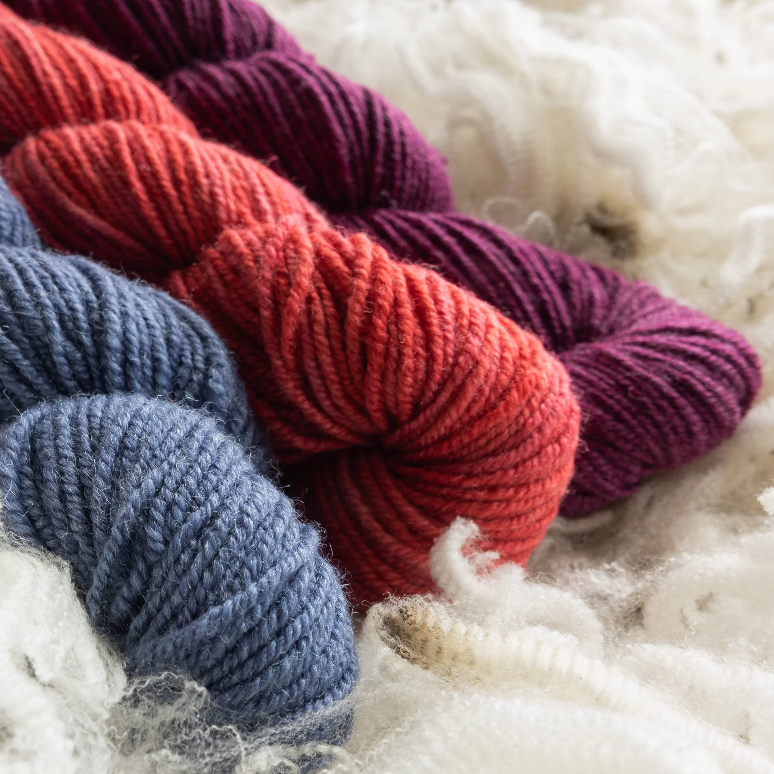 SM 04-05-10 MIN (DSC04426) 2026 03.jpg