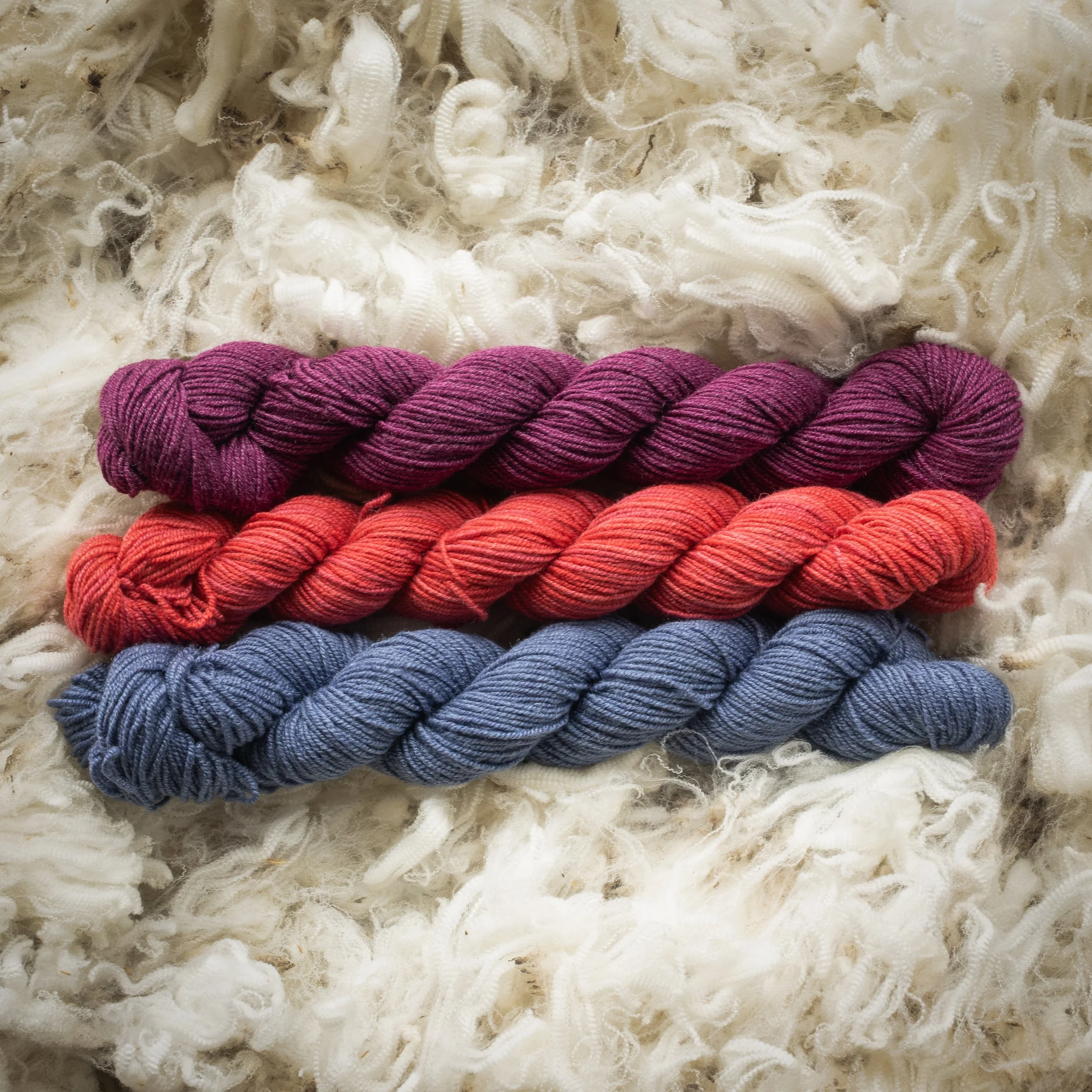 SM 04-05-10 MIN (DSC04423) 2026 03-2.jpg