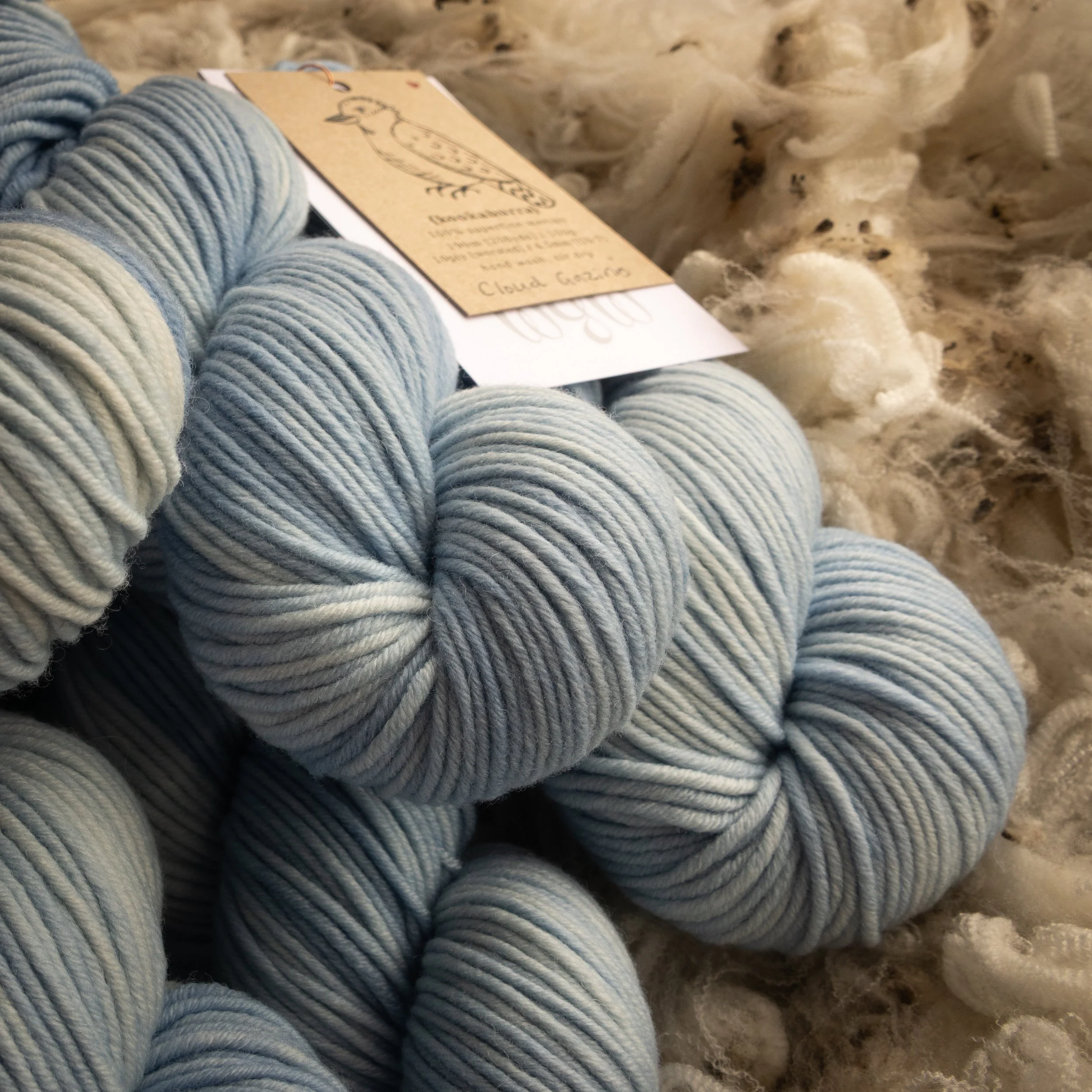 M-10-AUG-CLG Cloud Gazing (DSC04546) 2026 03.jpg