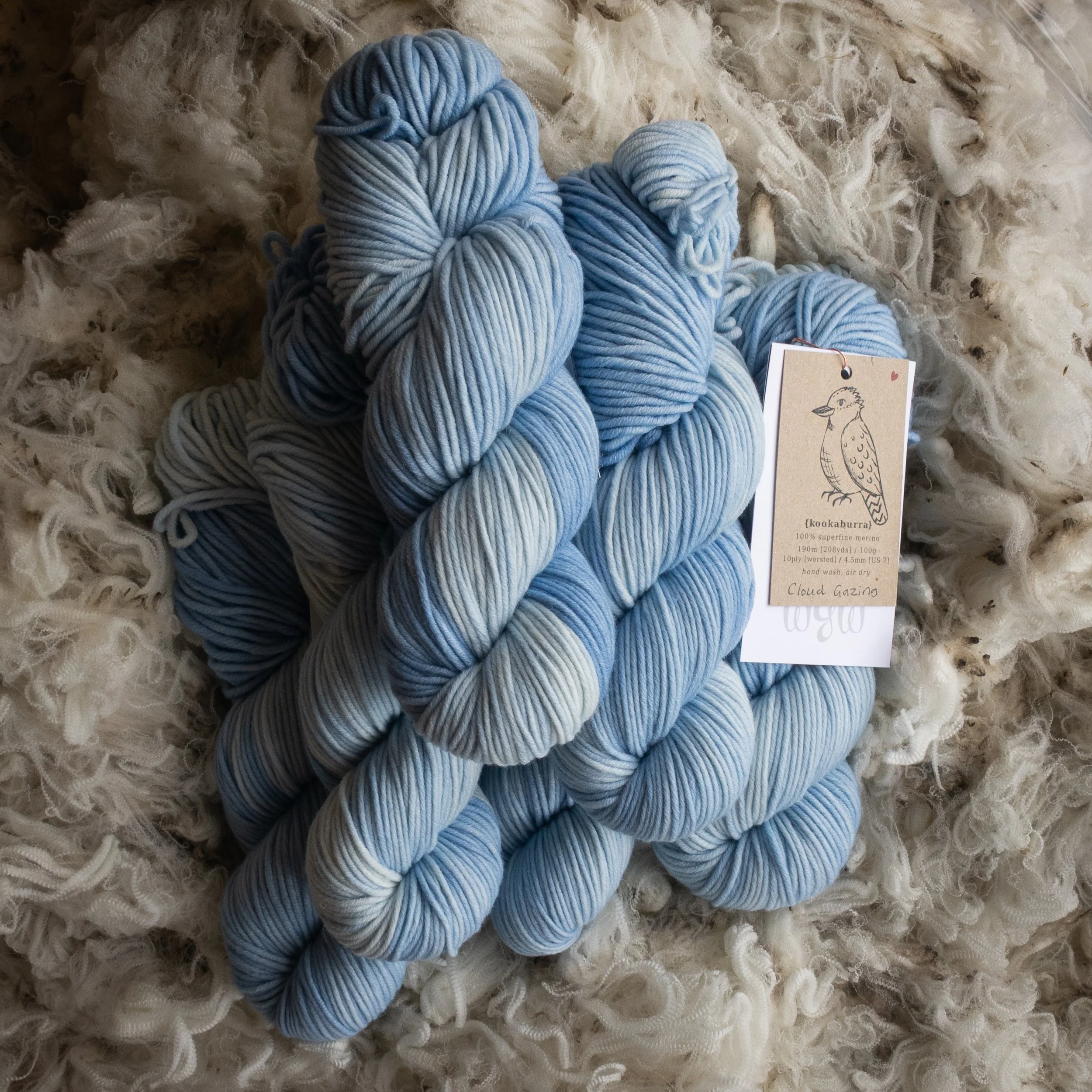 M-10-AUG-CLG Cloud Gazing (DSC04542) 2026 03.jpg