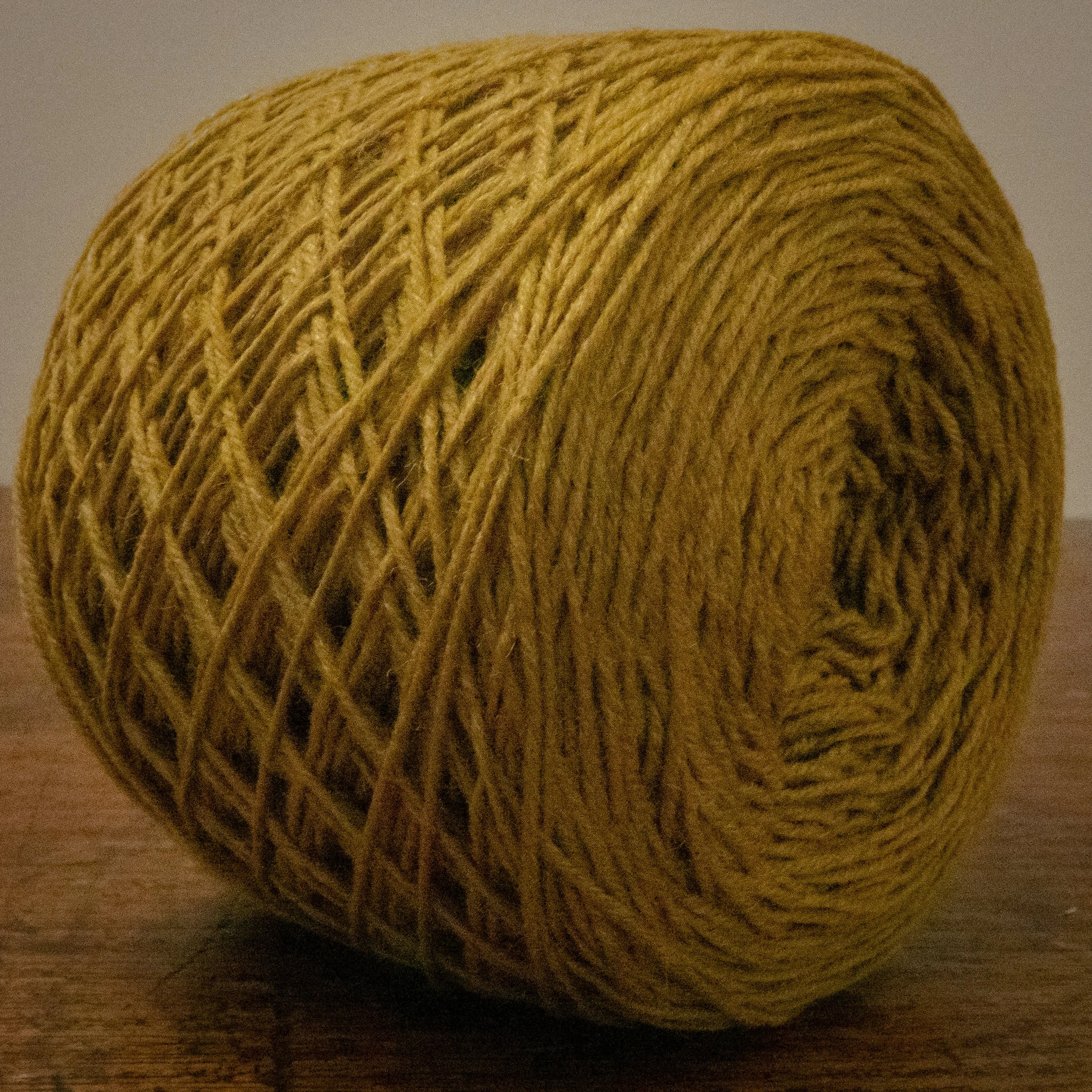 SM-04-CAK-SDG Sedge (DSC05537) 2026 06.jpg