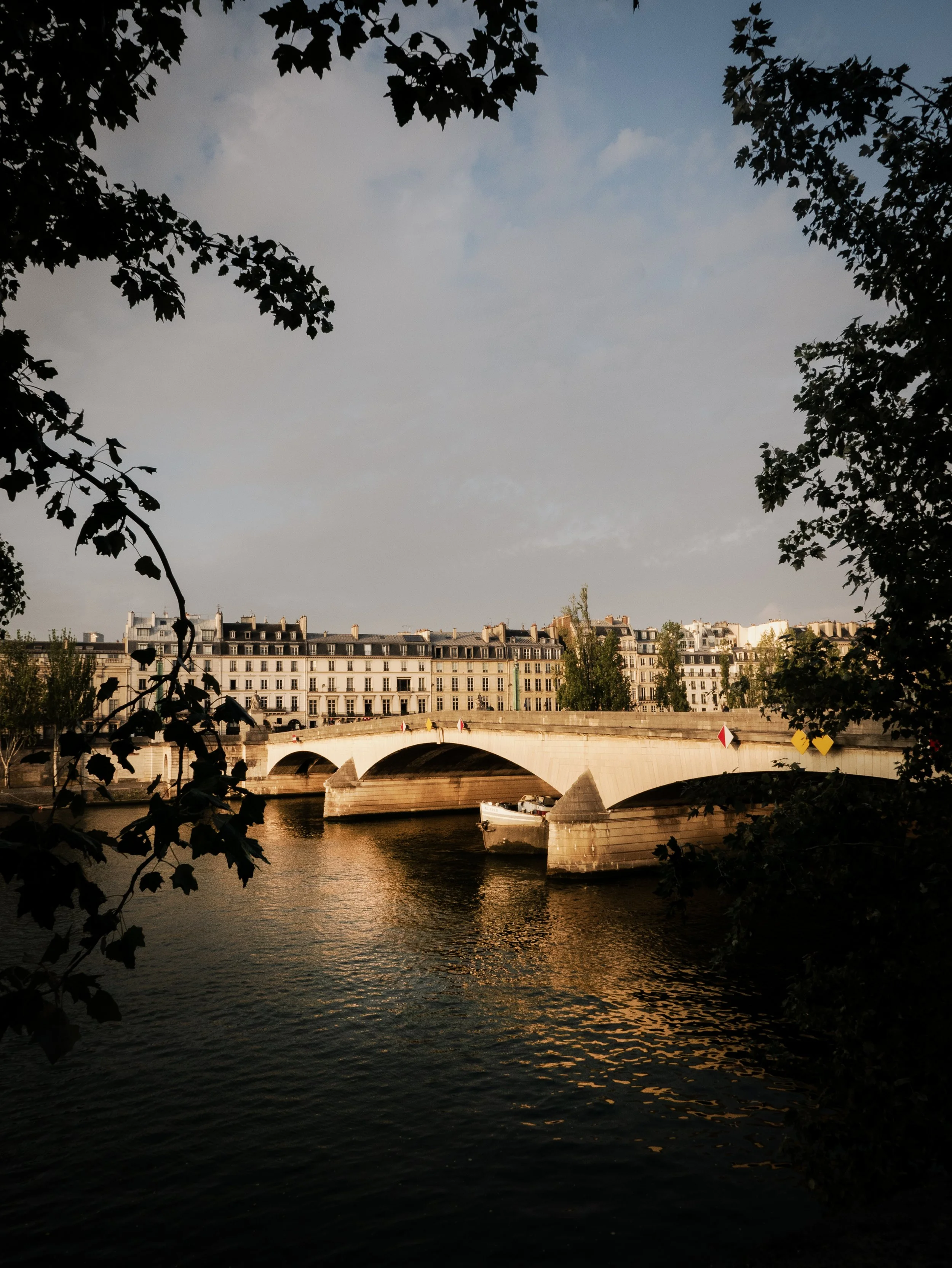 L1010813 copy.jpg