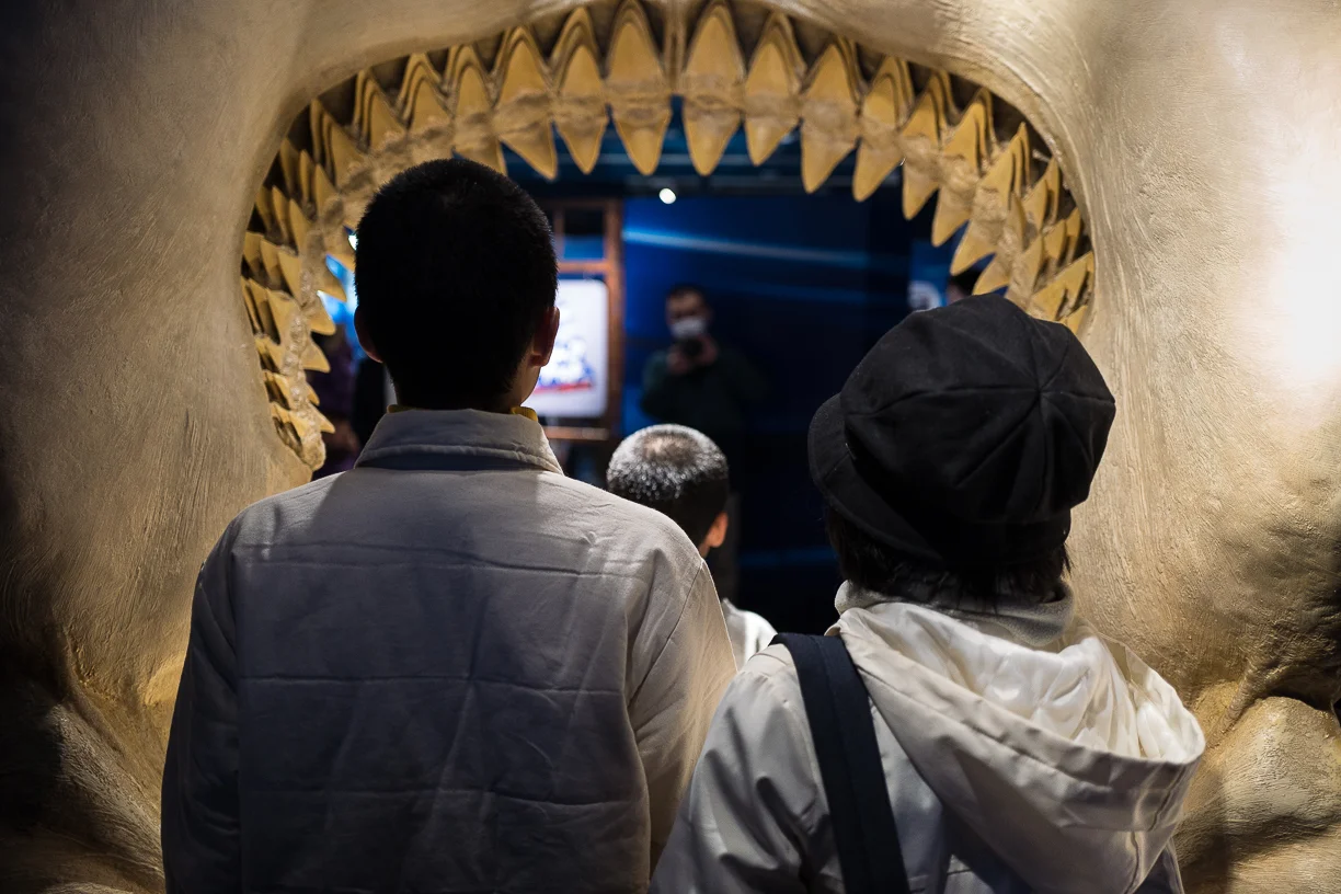 070_BCKTRT_Javier Rodero_L1070295.jpg