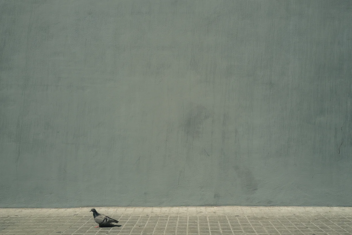 025_WKING_Javier Rodero_L1110530.jpg