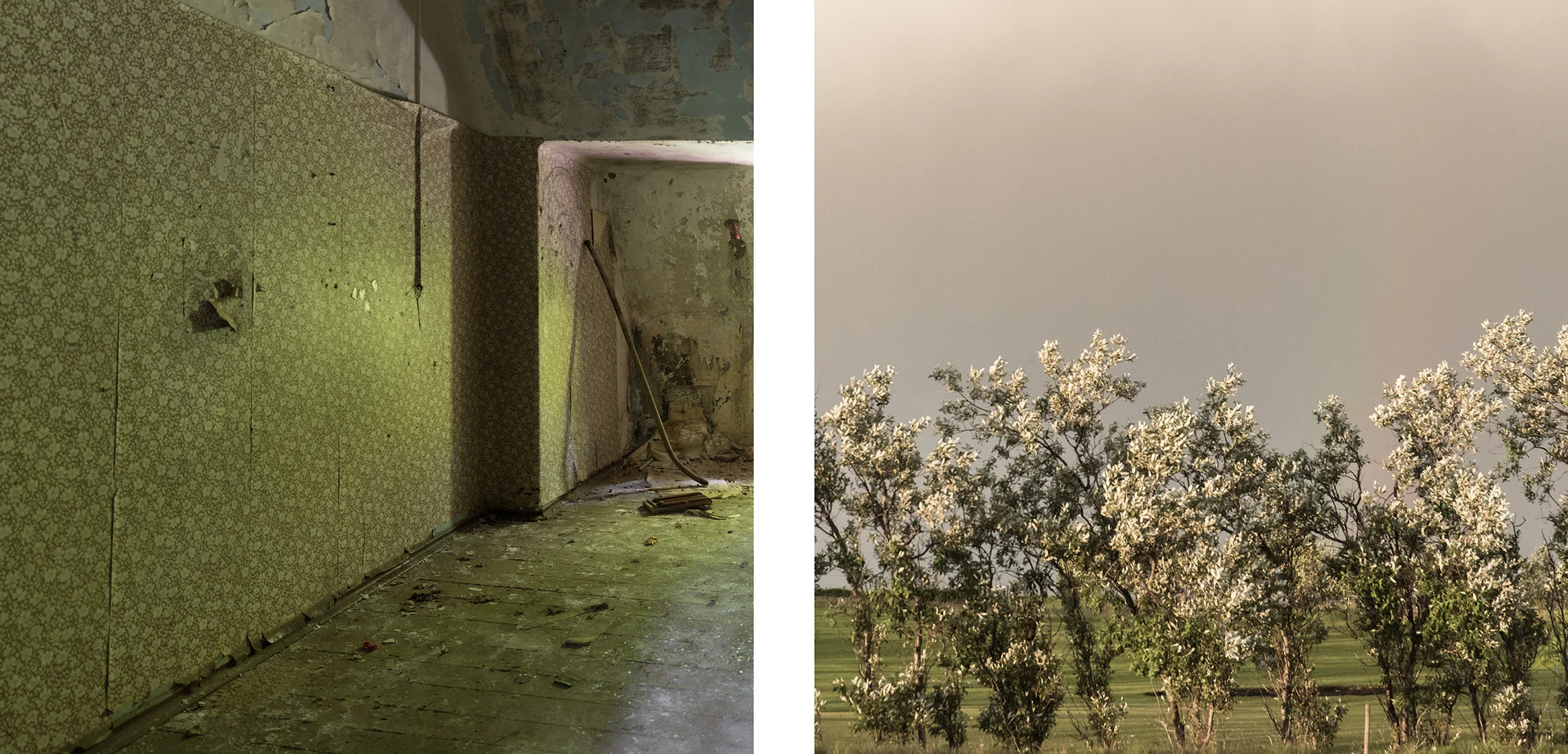 #4-from-the-series-Silence-(diptych).jpg