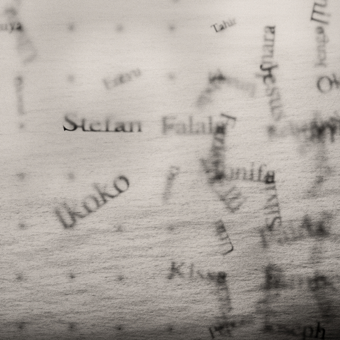 K_Now_I_am_gone_and_I_did_have_a_name_Detail_2.jpg