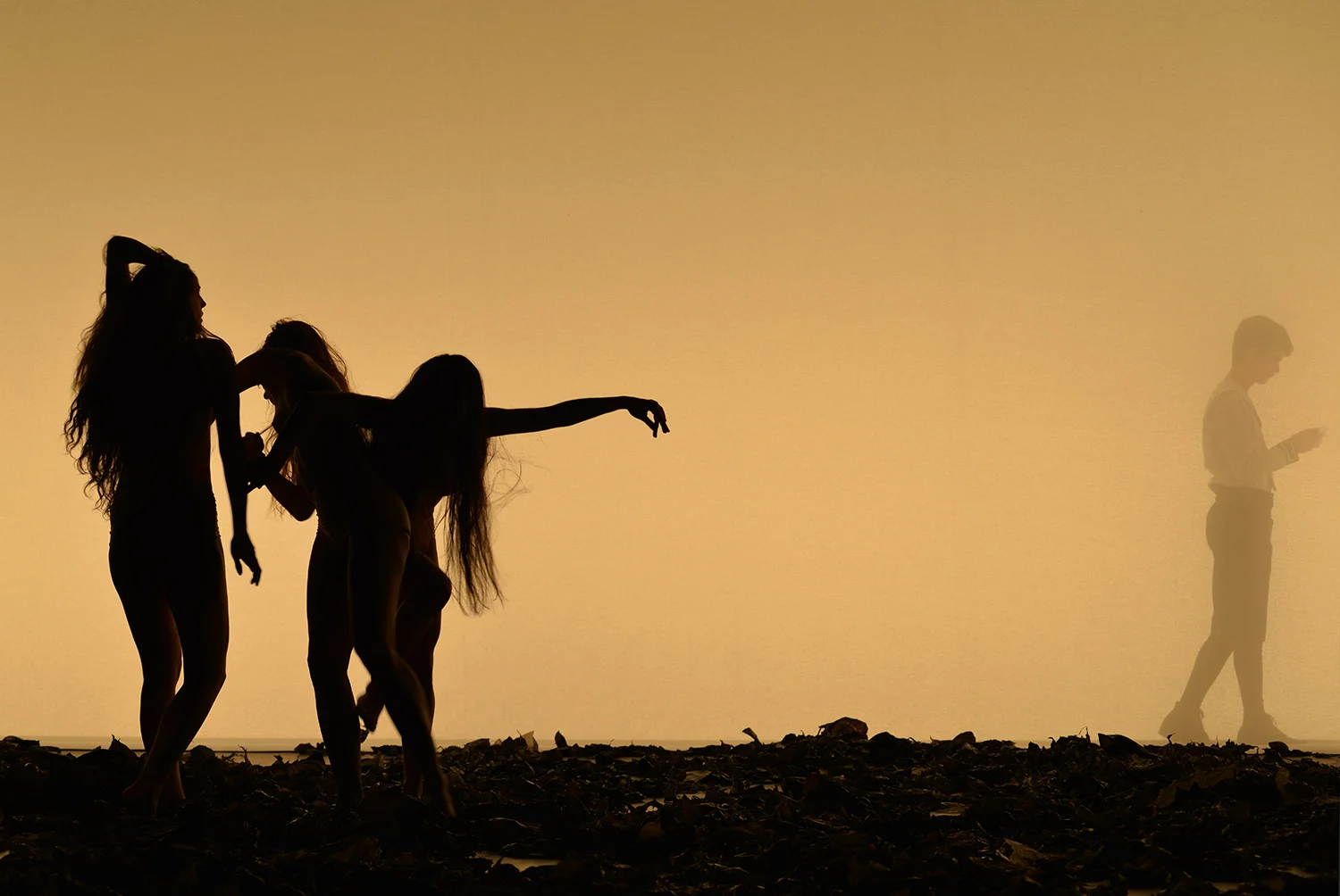 3_4_Death in Venice, Berlin, 2013.jpg