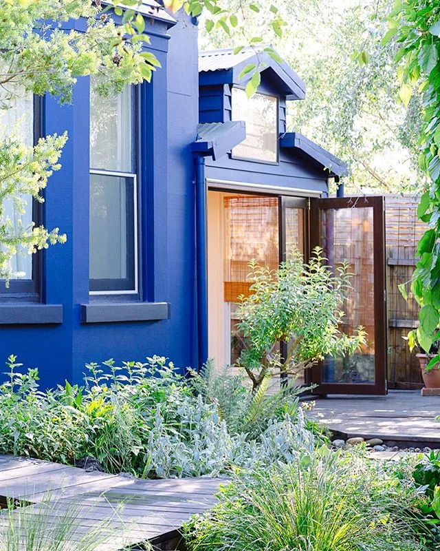 Some pics from the latest shoot for @braveneweco who has been patiently waiting a number of years for some of her early garden designs to mature enough to be photo-ready!! This japanese-inspired south-facing garden made me realise that not only do I need to spend more time in my own outdoor “living-room” but that I wanted to paint my house blue 💙💙