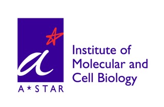 IMCB_Logo.jpeg