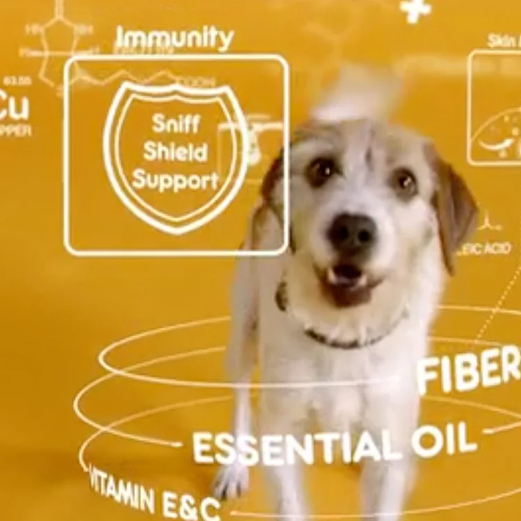 pedigree butt.jpg
