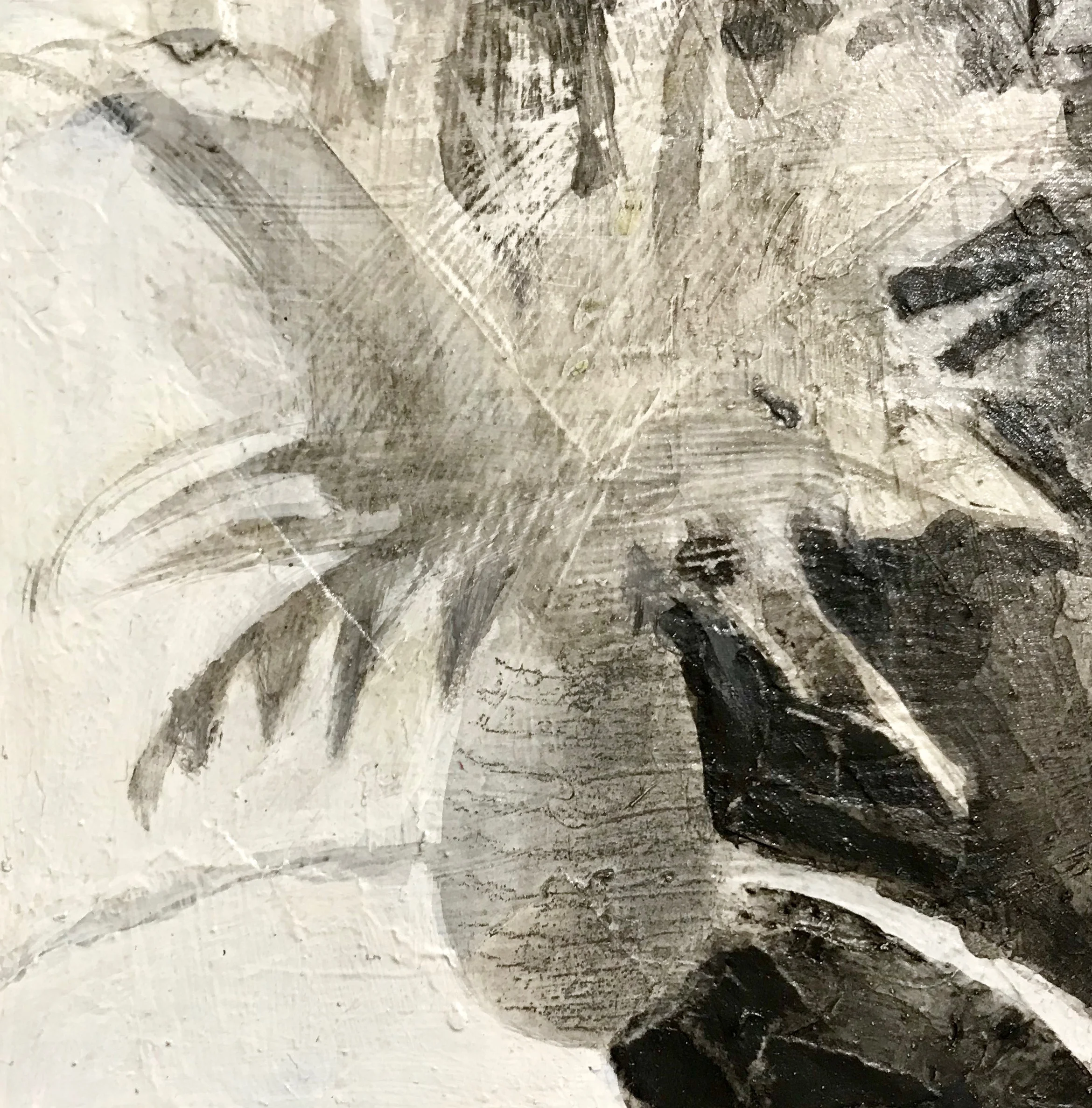 Floral Shadow 8