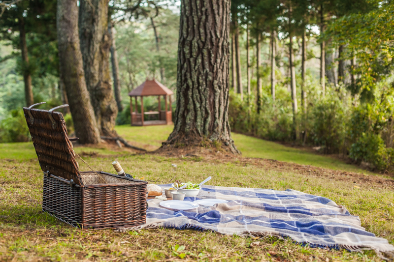 Falls Retreat-199.jpg