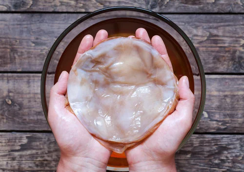 Kombucha Masterclass