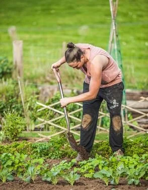 The Educated Gardener