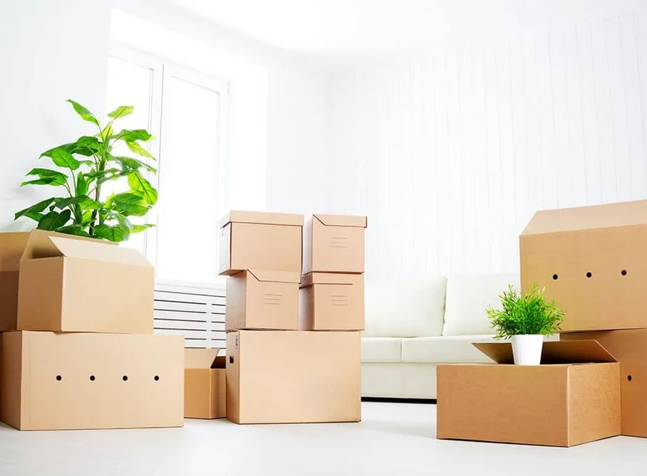 moving-office1.jpg