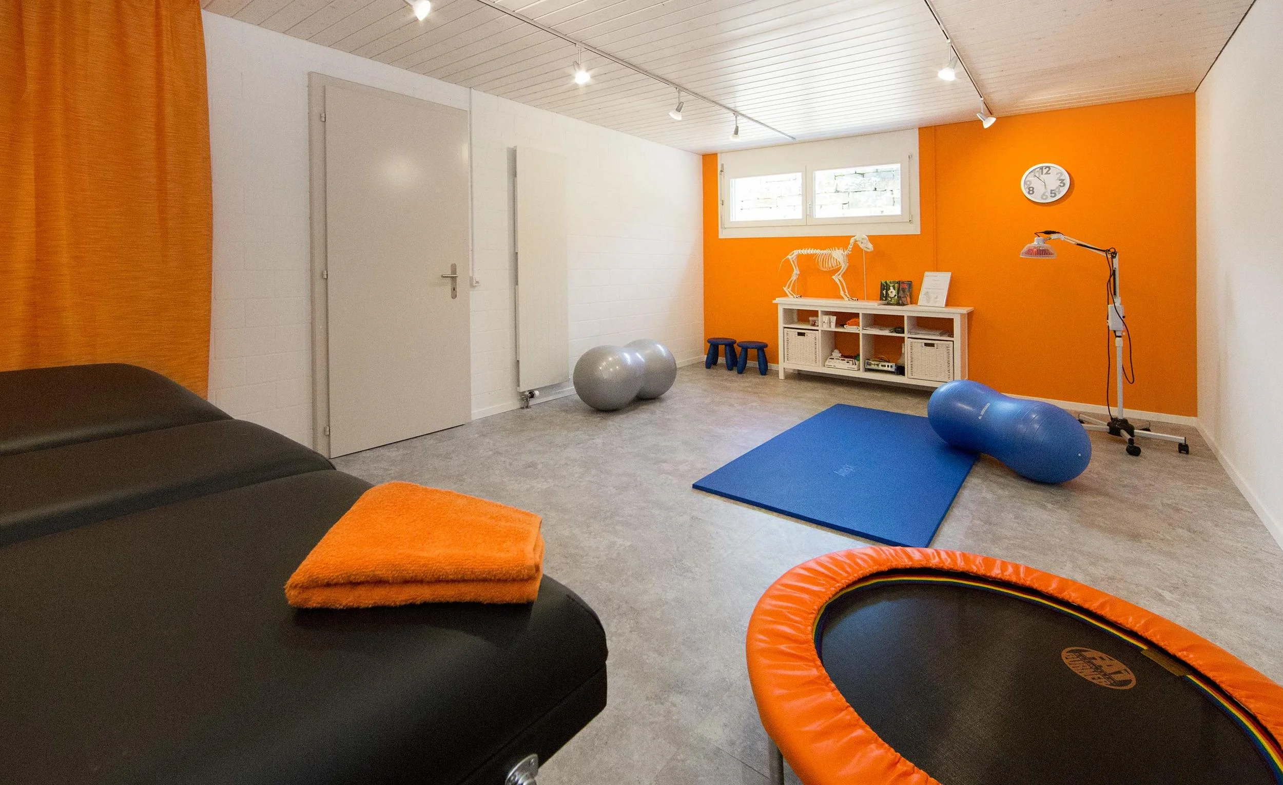 hundephysio-zuercher-therapieraum1.jpg
