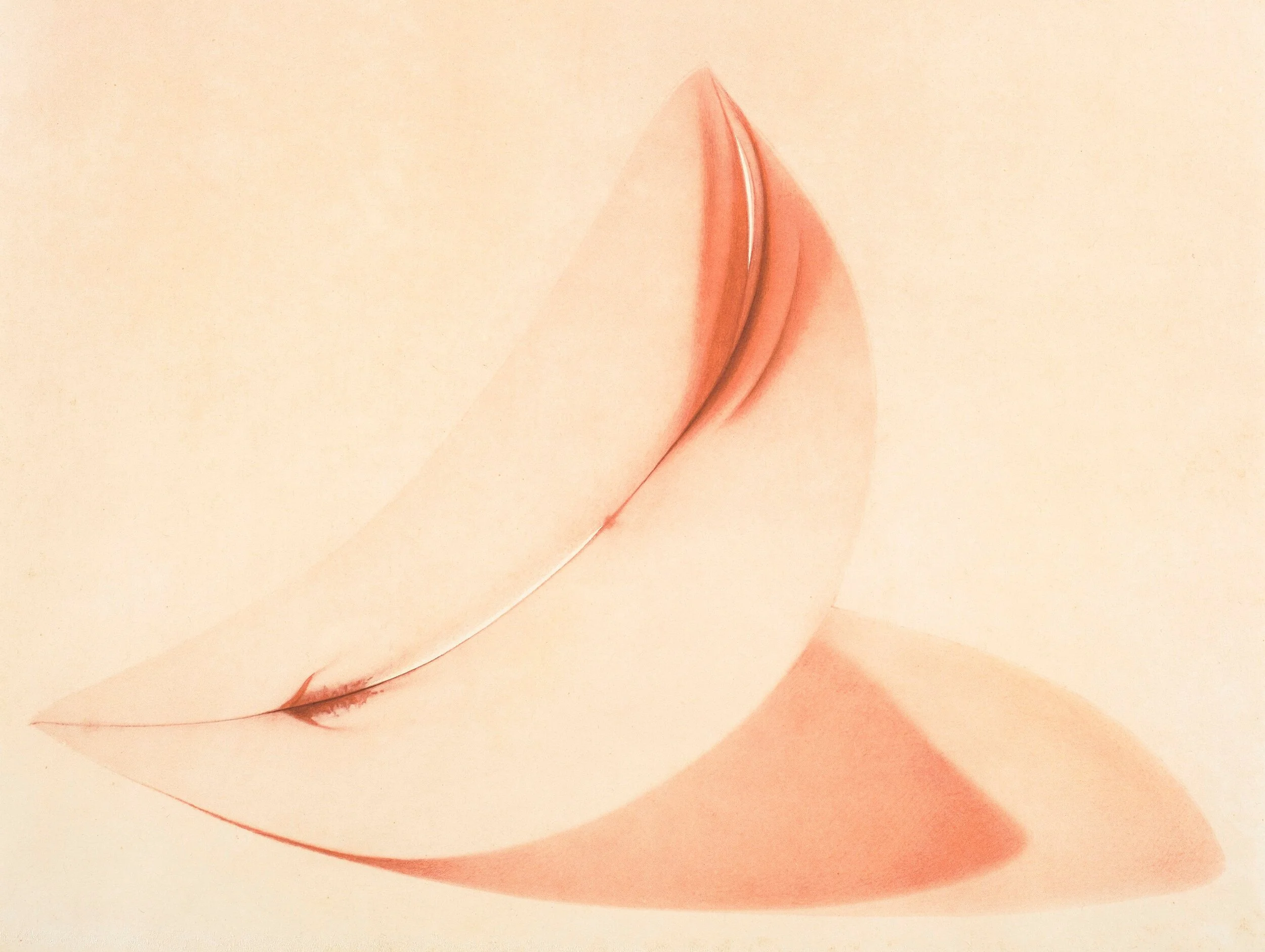 graafika-Banaan-Aili Vint.JPG