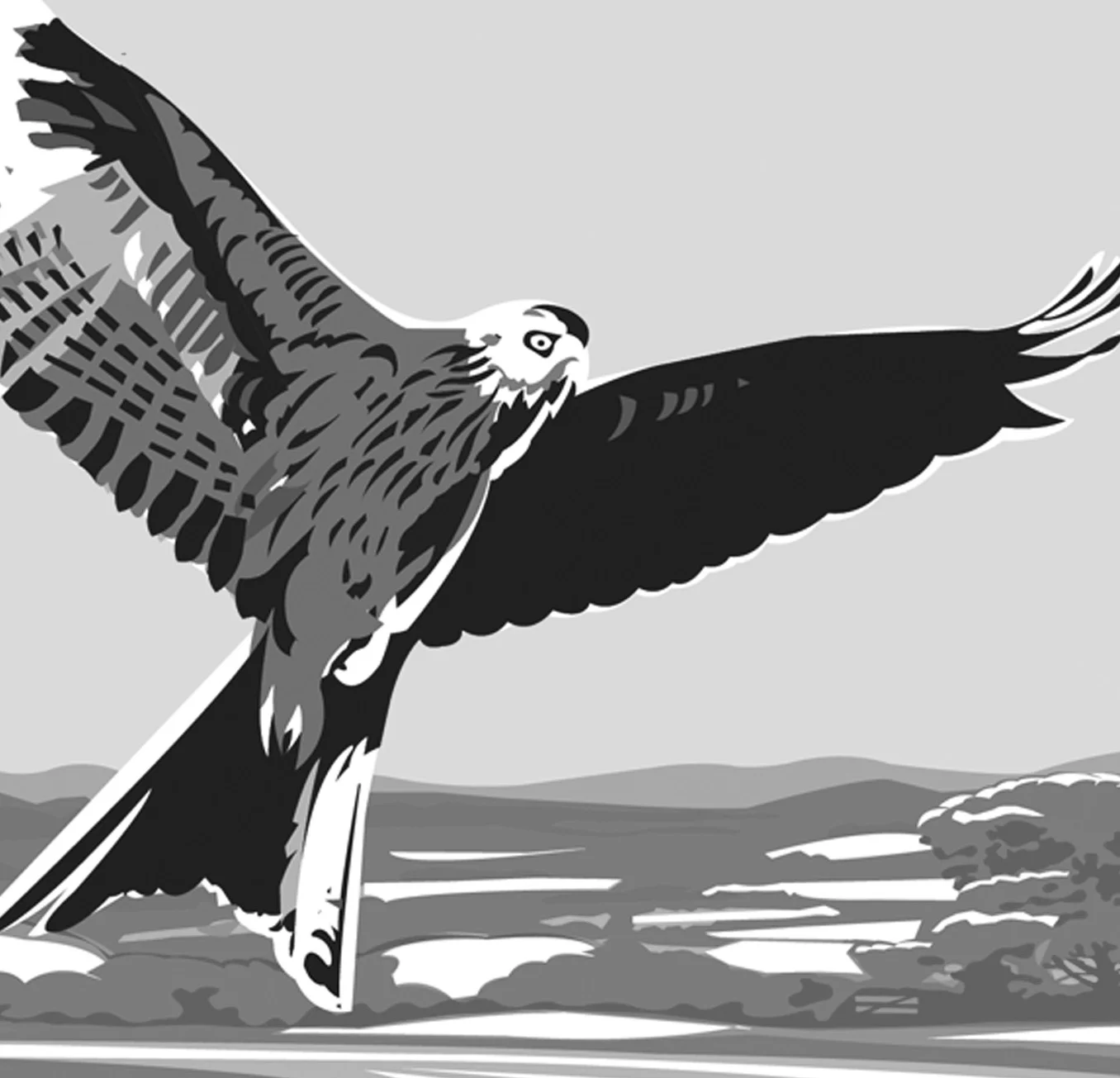 giclee birdr.jpg