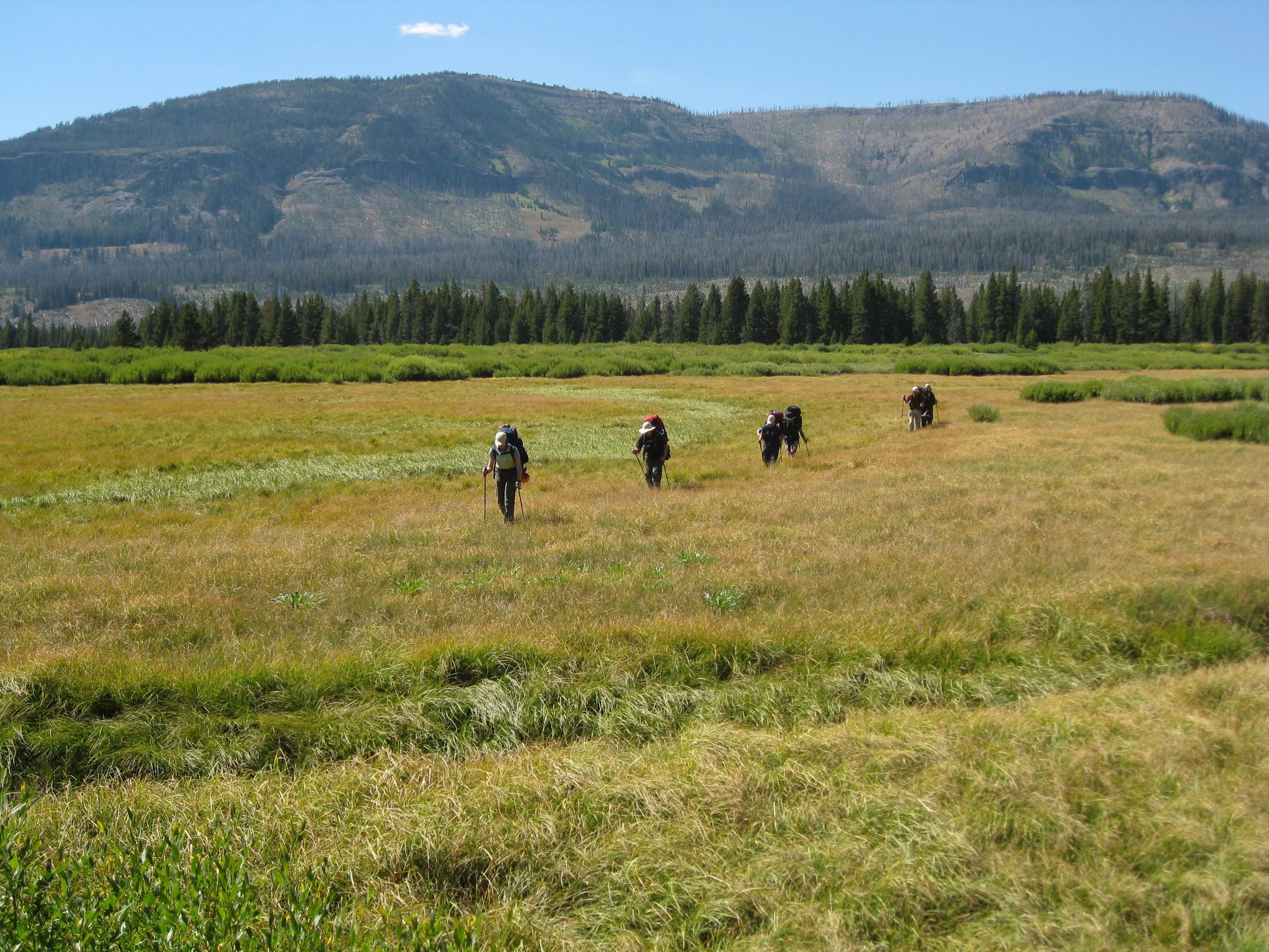 Thorofare expedition