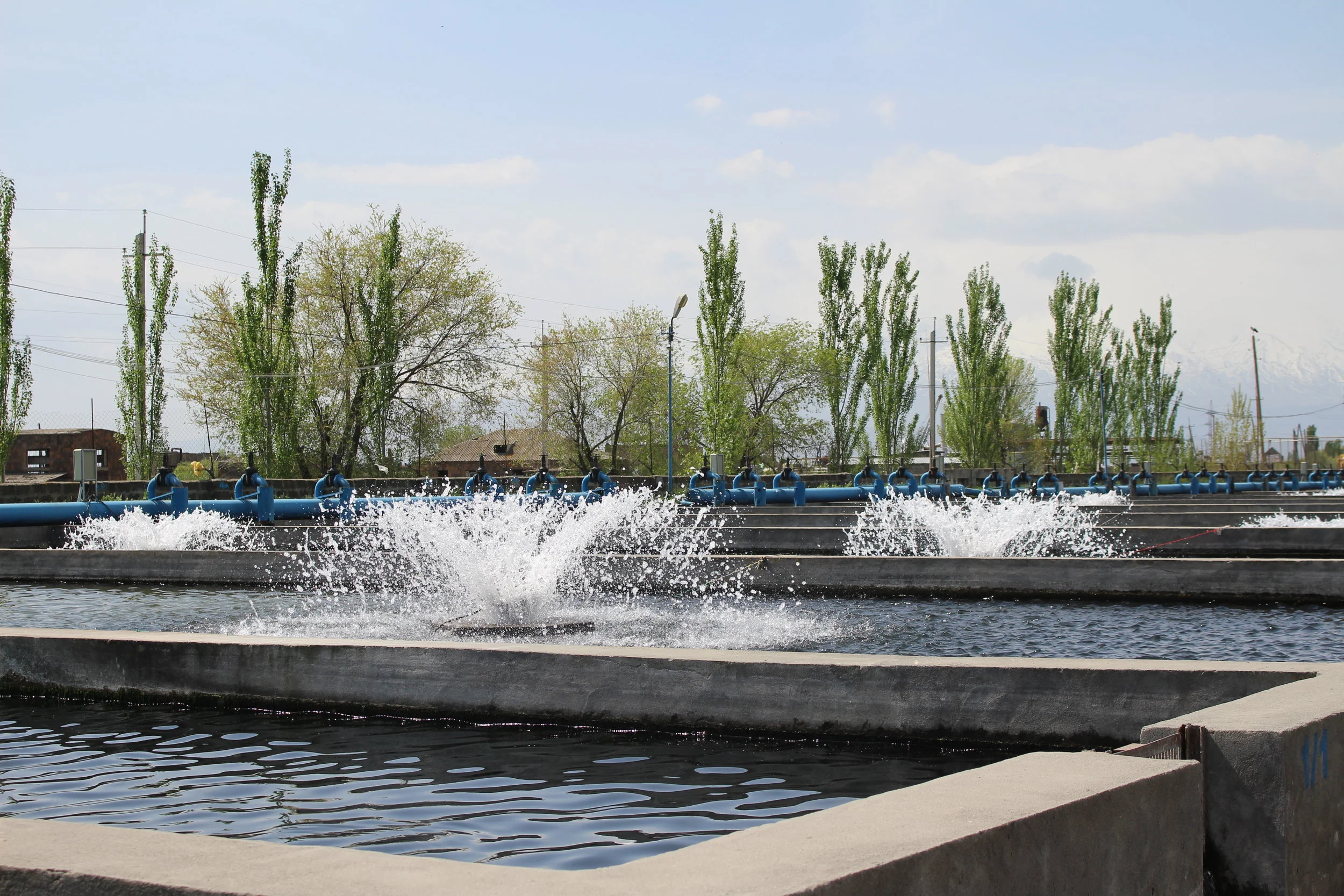 Antibiotic resistance on fish farms