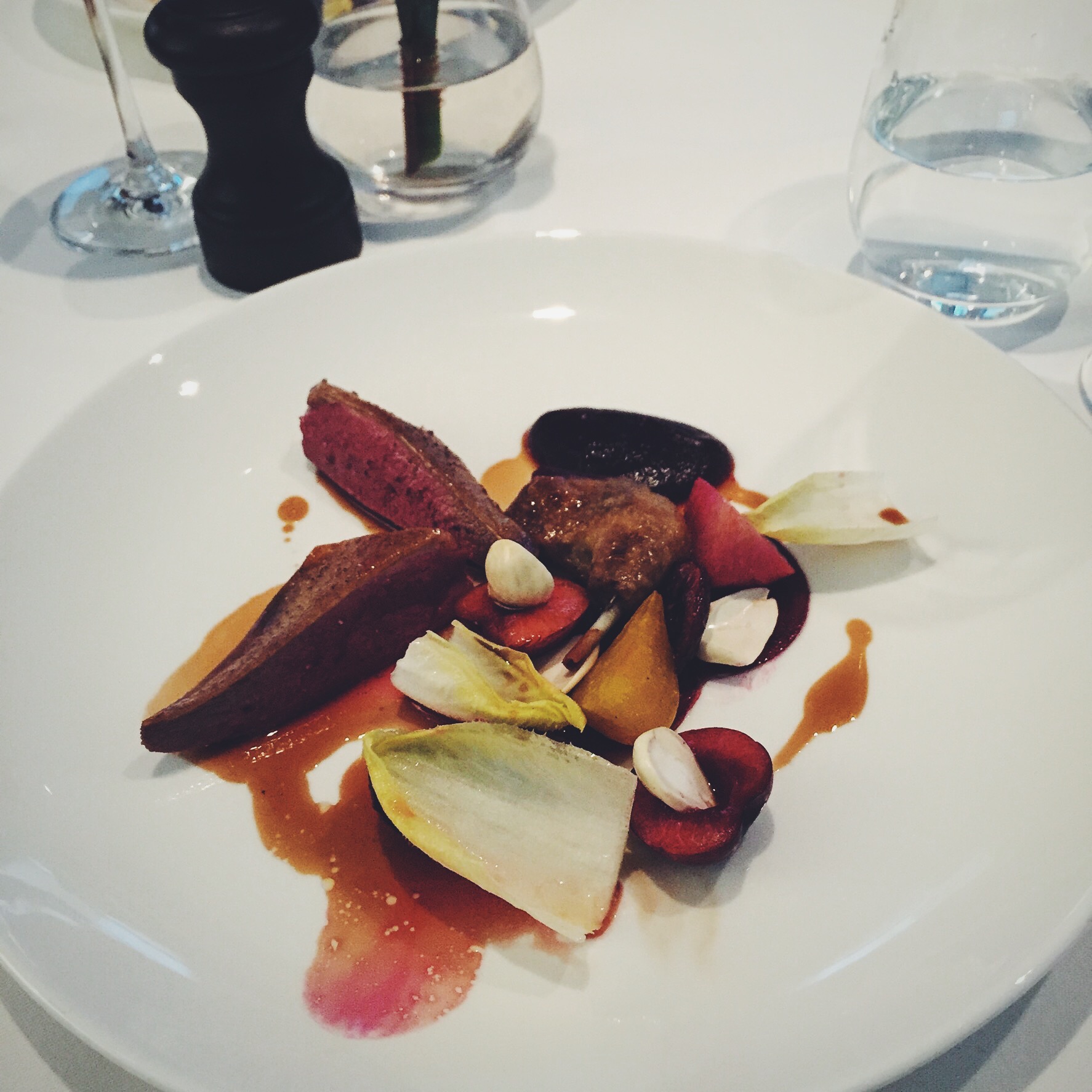 Roasted Squab Pigeon Breast and Confit Leg with beetroot, cherry, fresh almonds, endive and duck jus