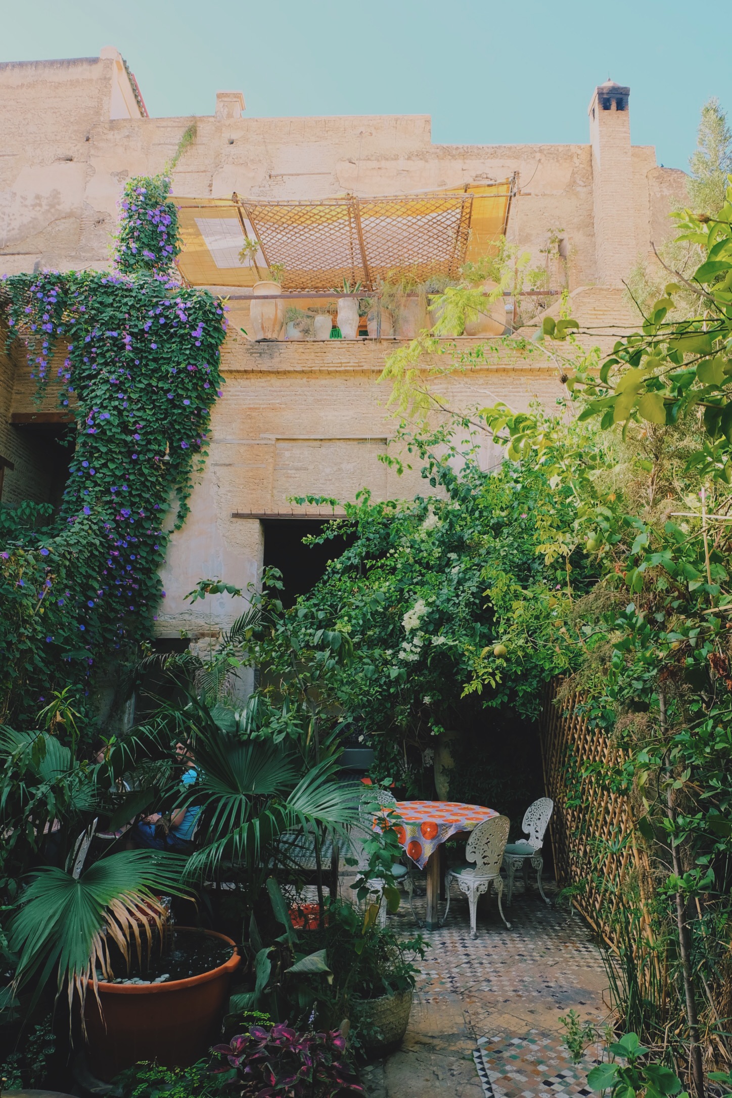 Ruined Garden Cafe