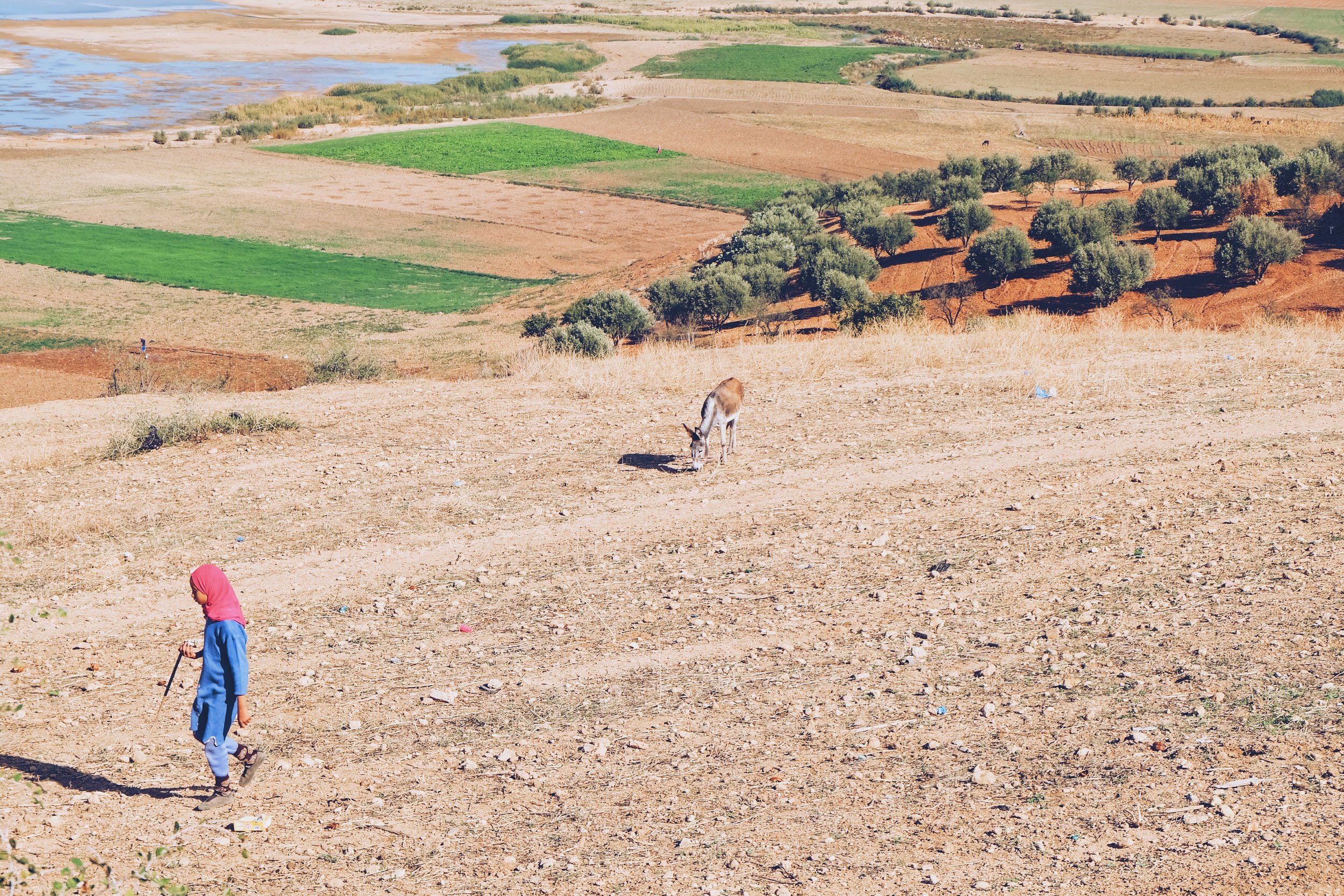 On the way to Volubilis