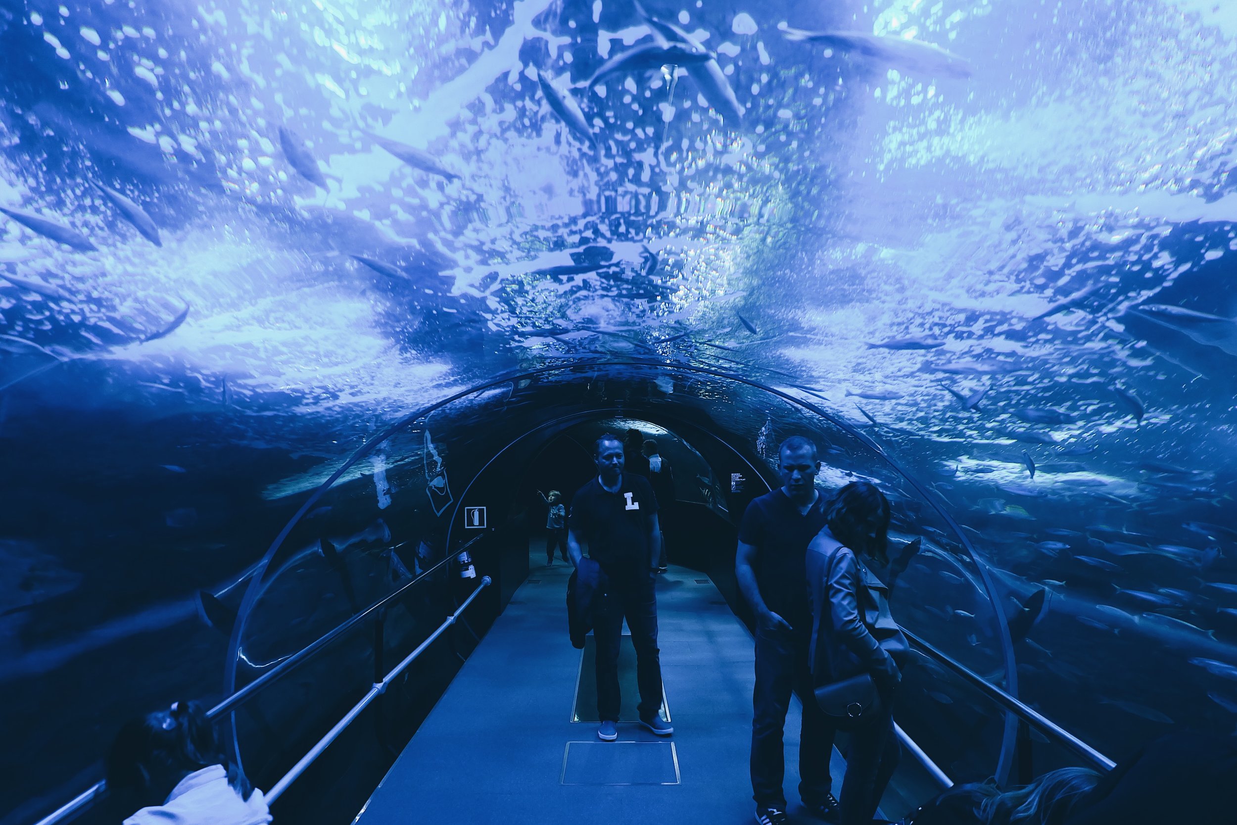 Aquarium