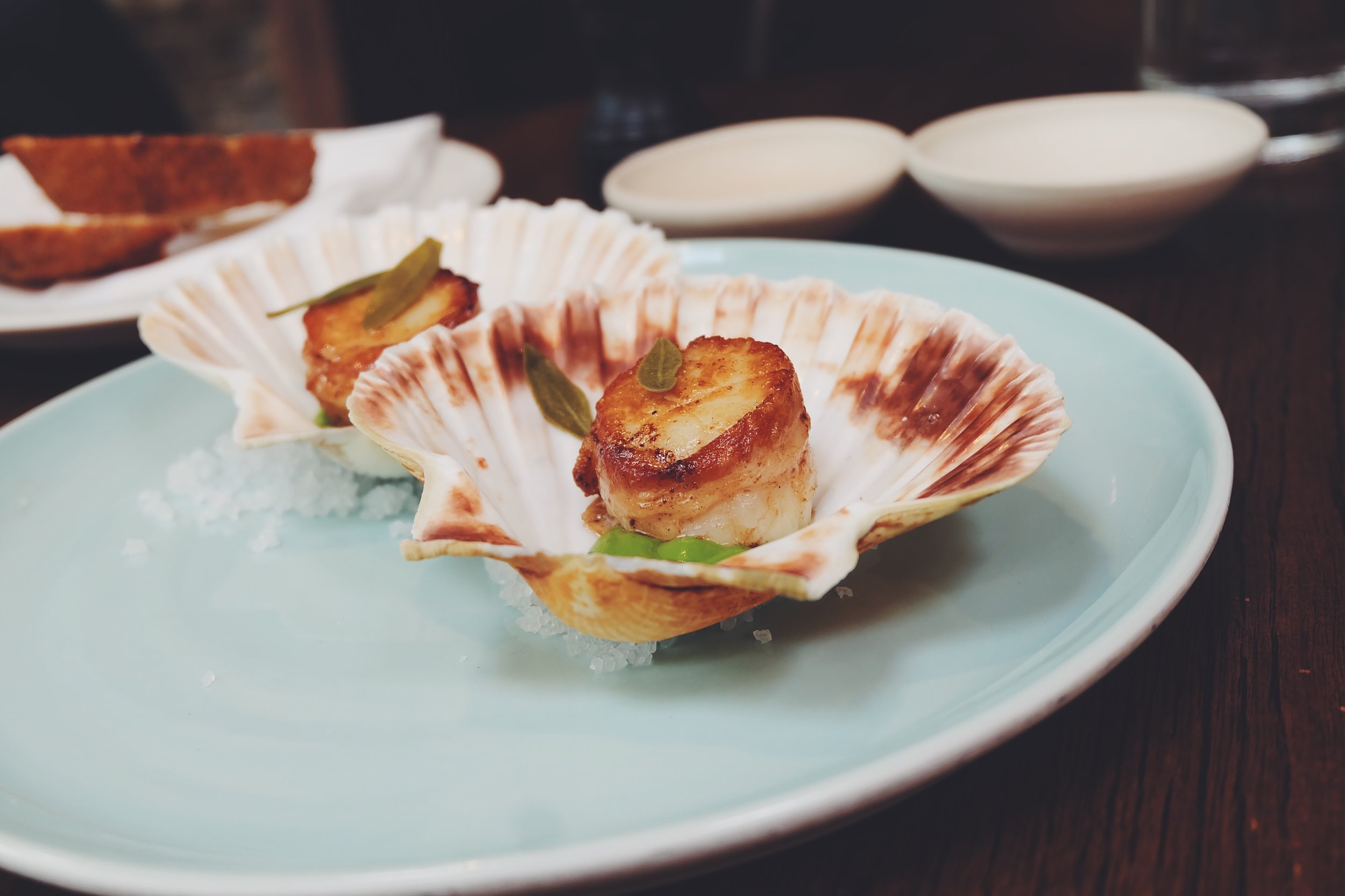 Roast orkney scallop wrapped in pancetta, courgette and garlic (£14)
