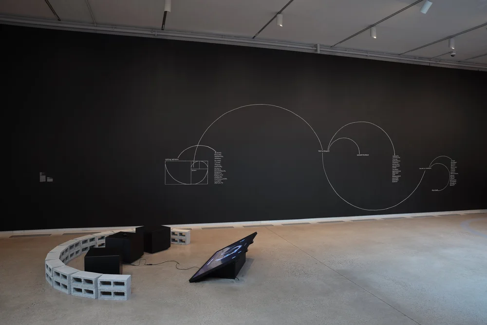 Traces of Ecstasy, ICA at VCU, 2024, installation view