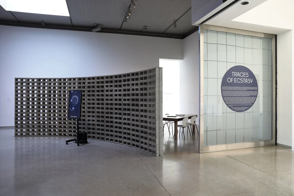Traces of Ecstasy, ICA at VCU, 2024, installation view