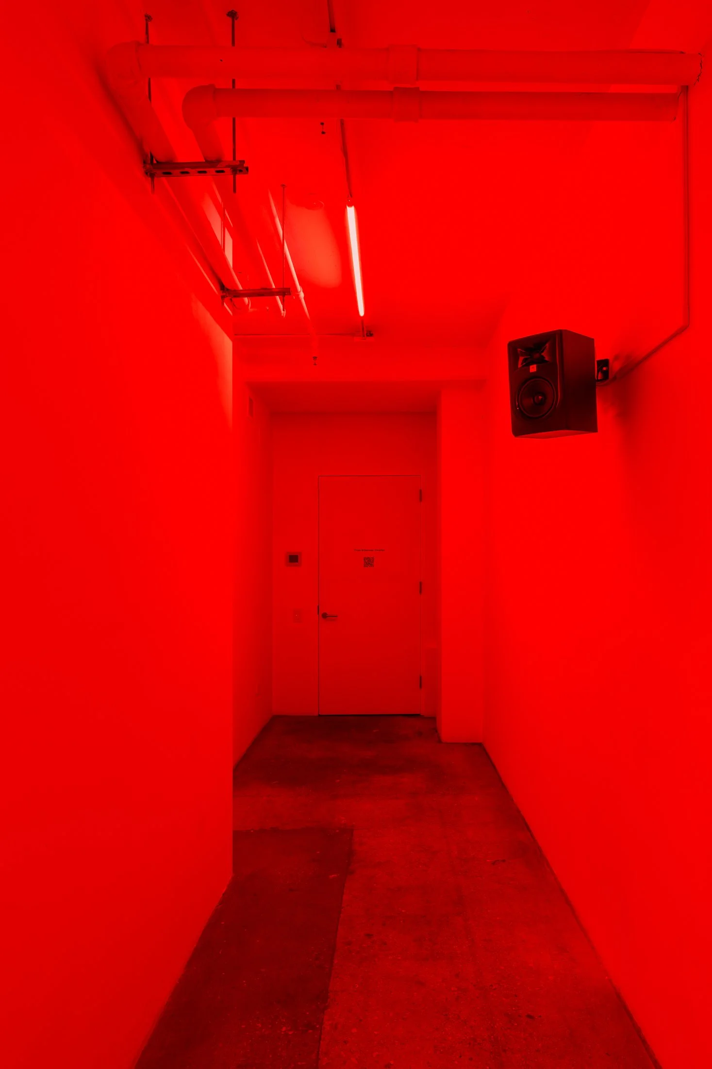 Tiran Willemse, Suiker bossie, 2026. Sound installation. 5 min.