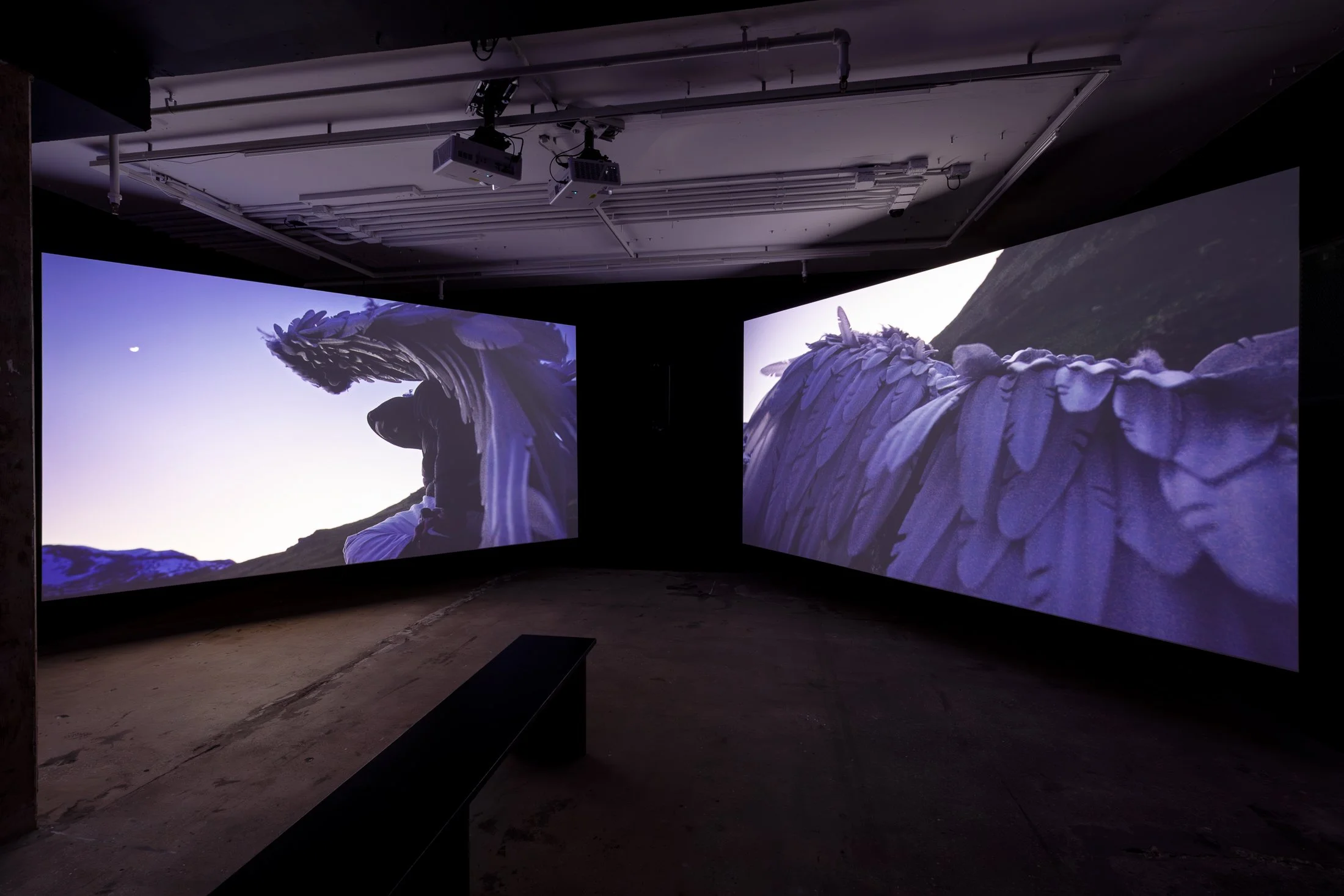 Tiran Willemse, Dweller, 2026 (detail). Three channel HD video installation (color, stereo sound). 30 min.