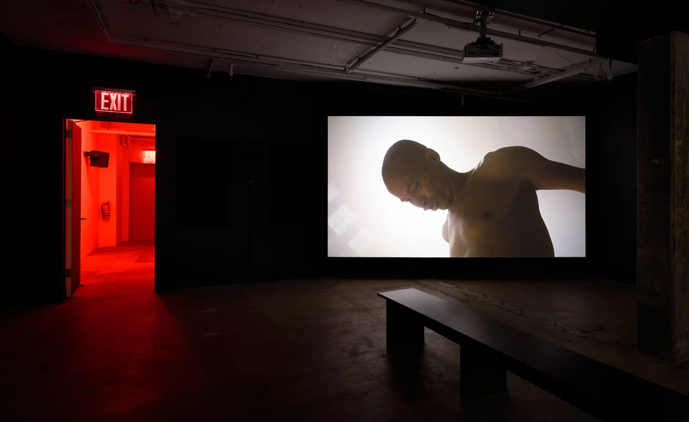 Tiran Willemse: Dweller | Swiss Institute, New York