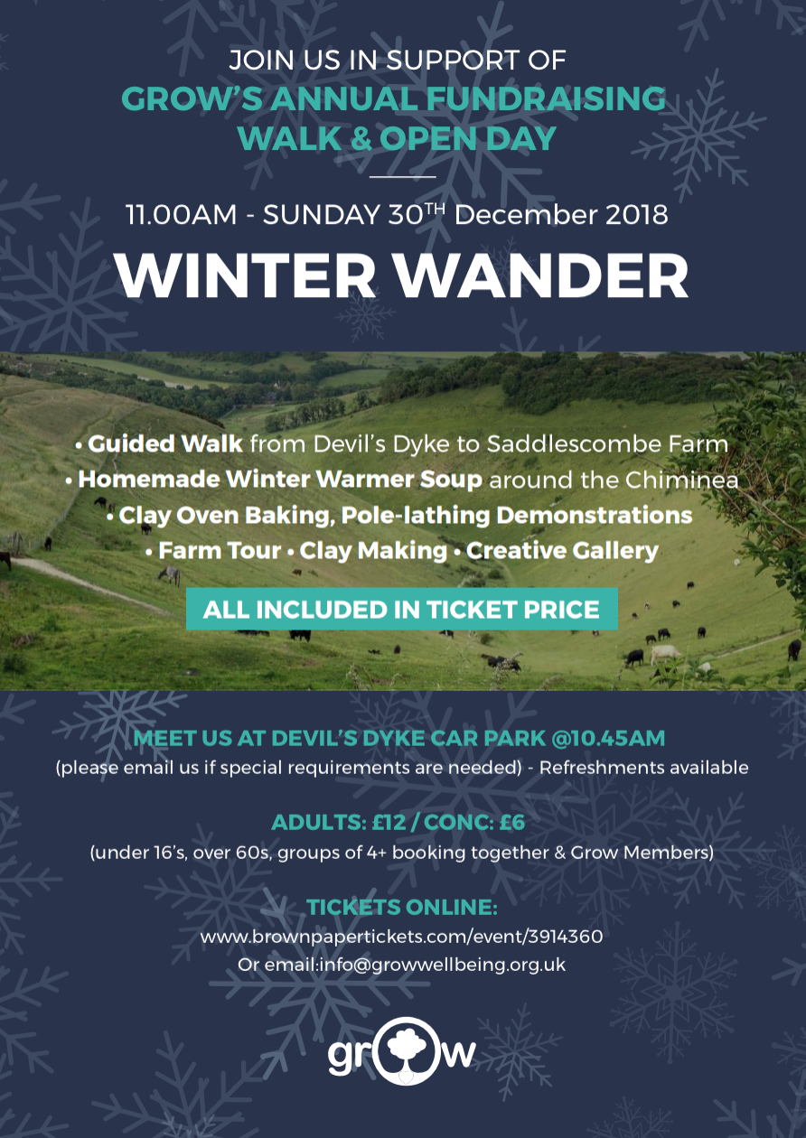 Winter Wander Info