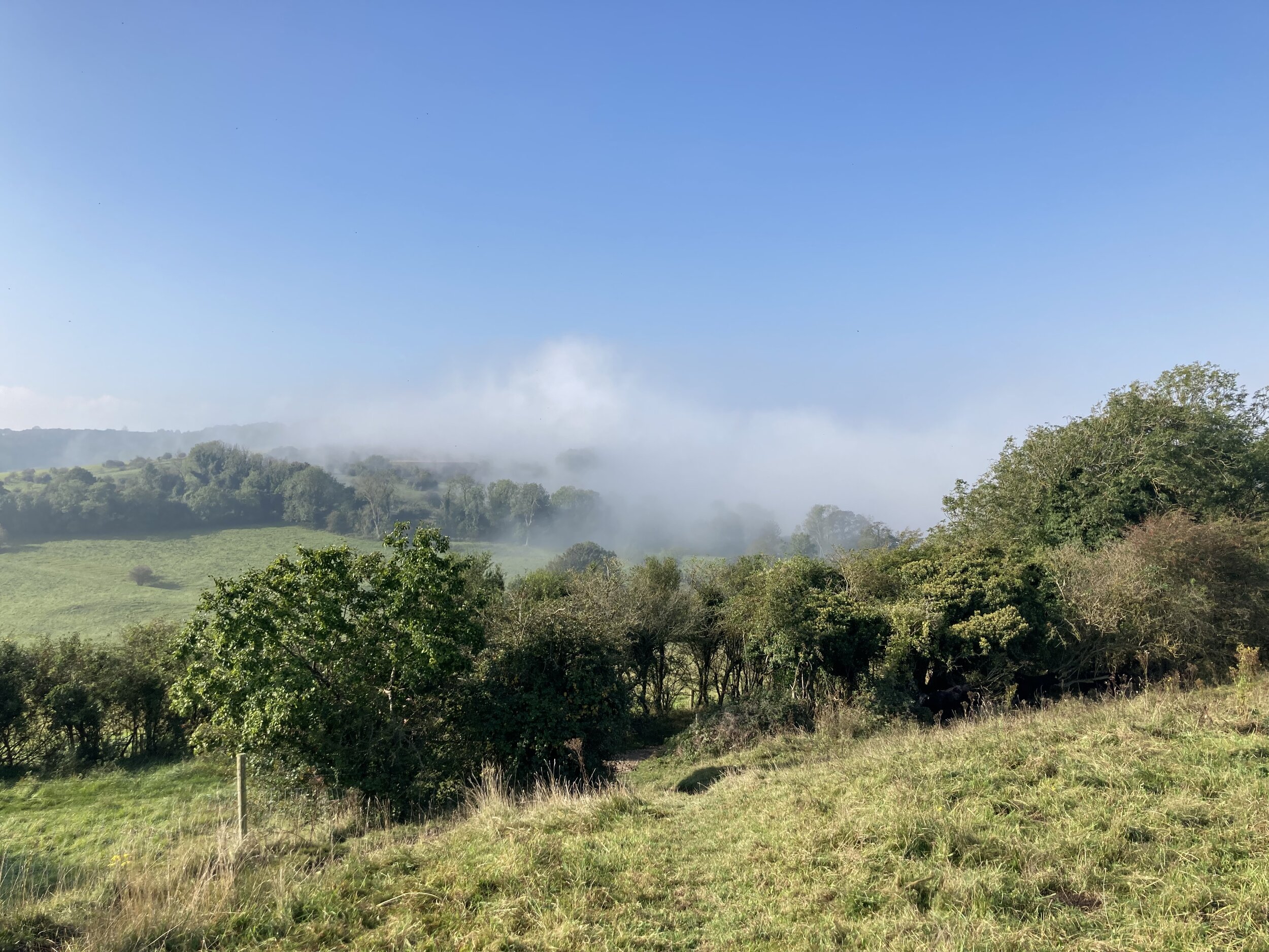 Reconnect this Autumn and Winter